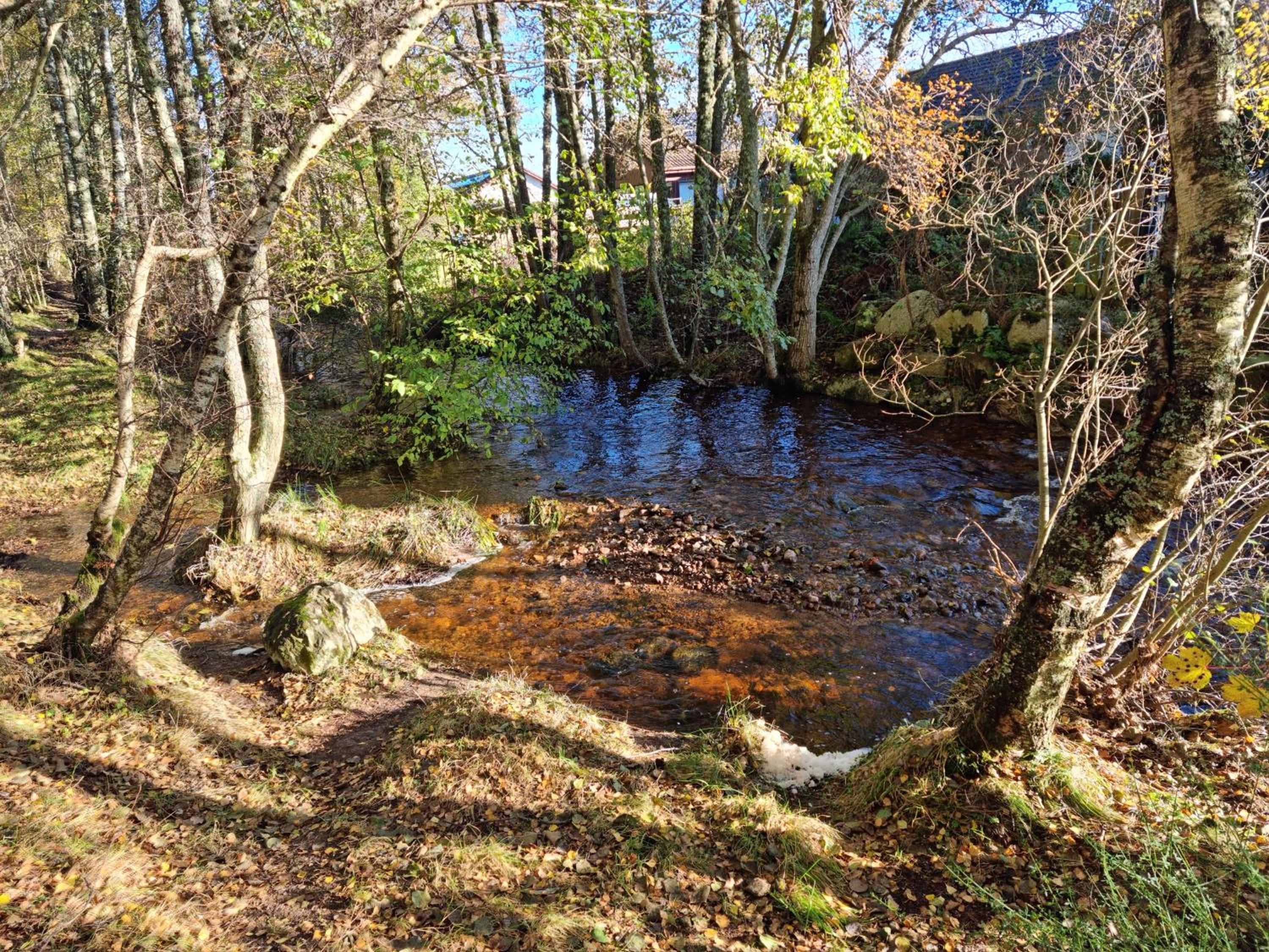 Photo 44
