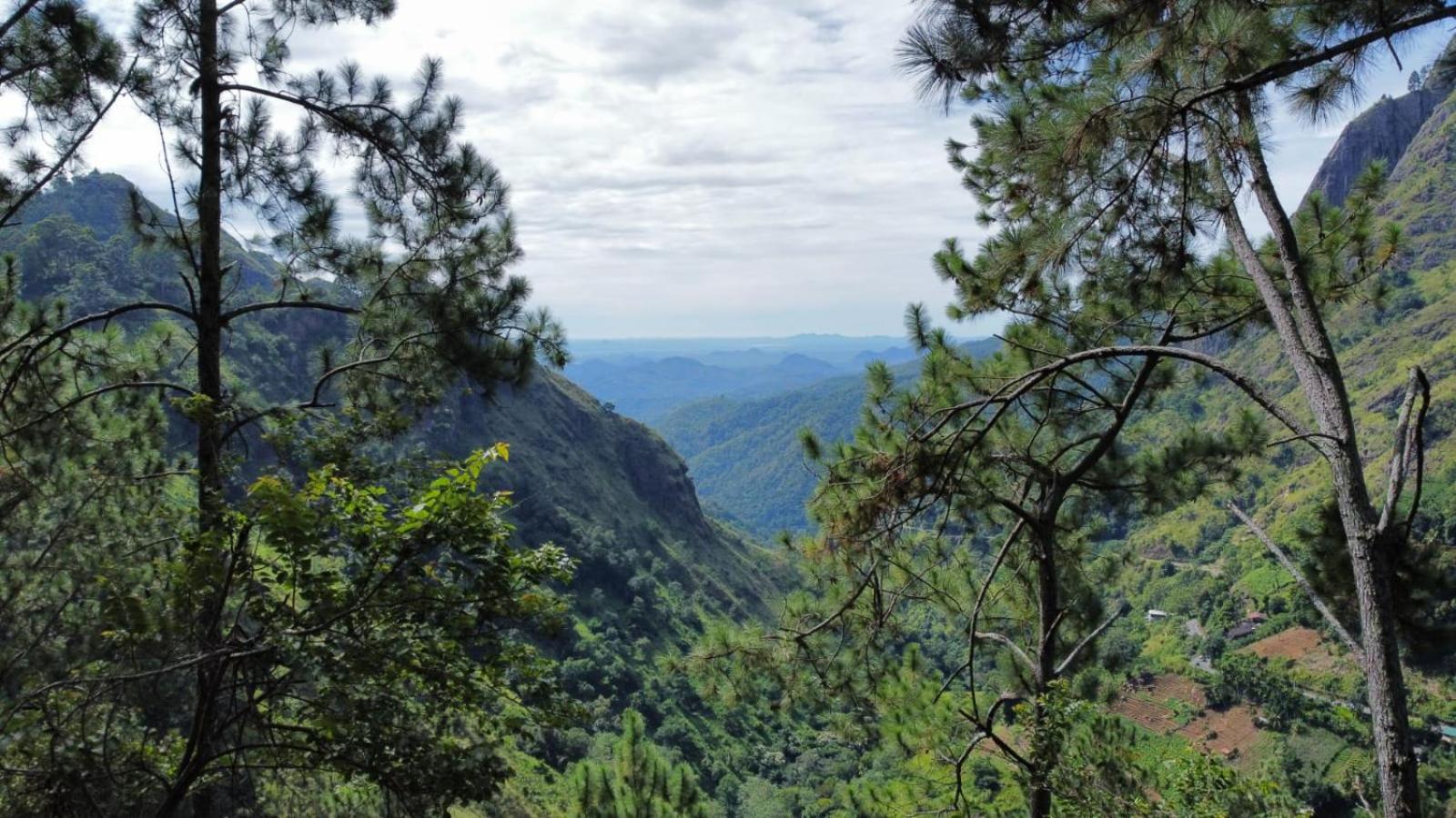 Dream view view 3