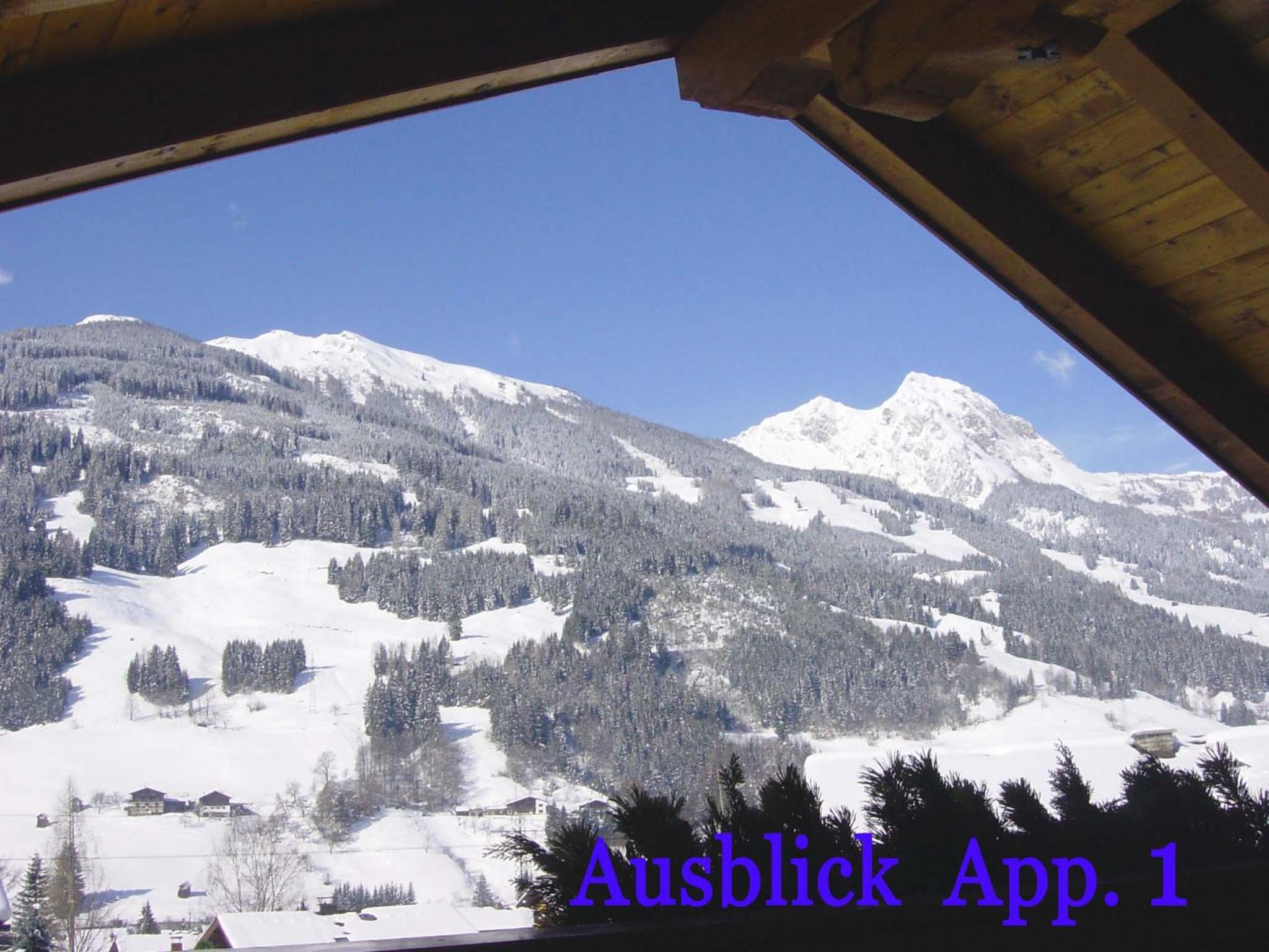 Gästehaus ALPINA