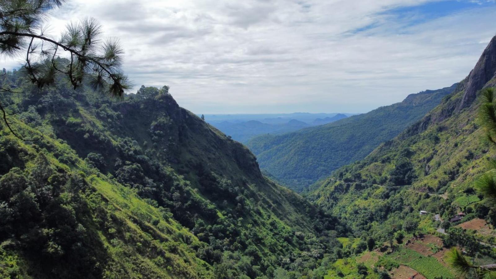 other