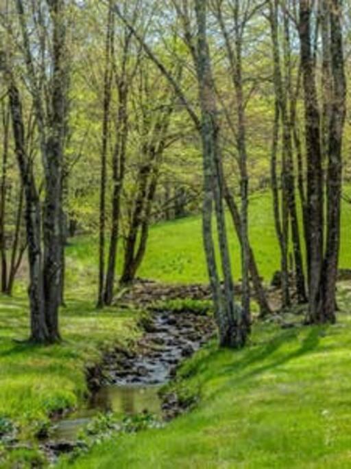 Sunny Ridge - PoshPadsCT Best Town Washington