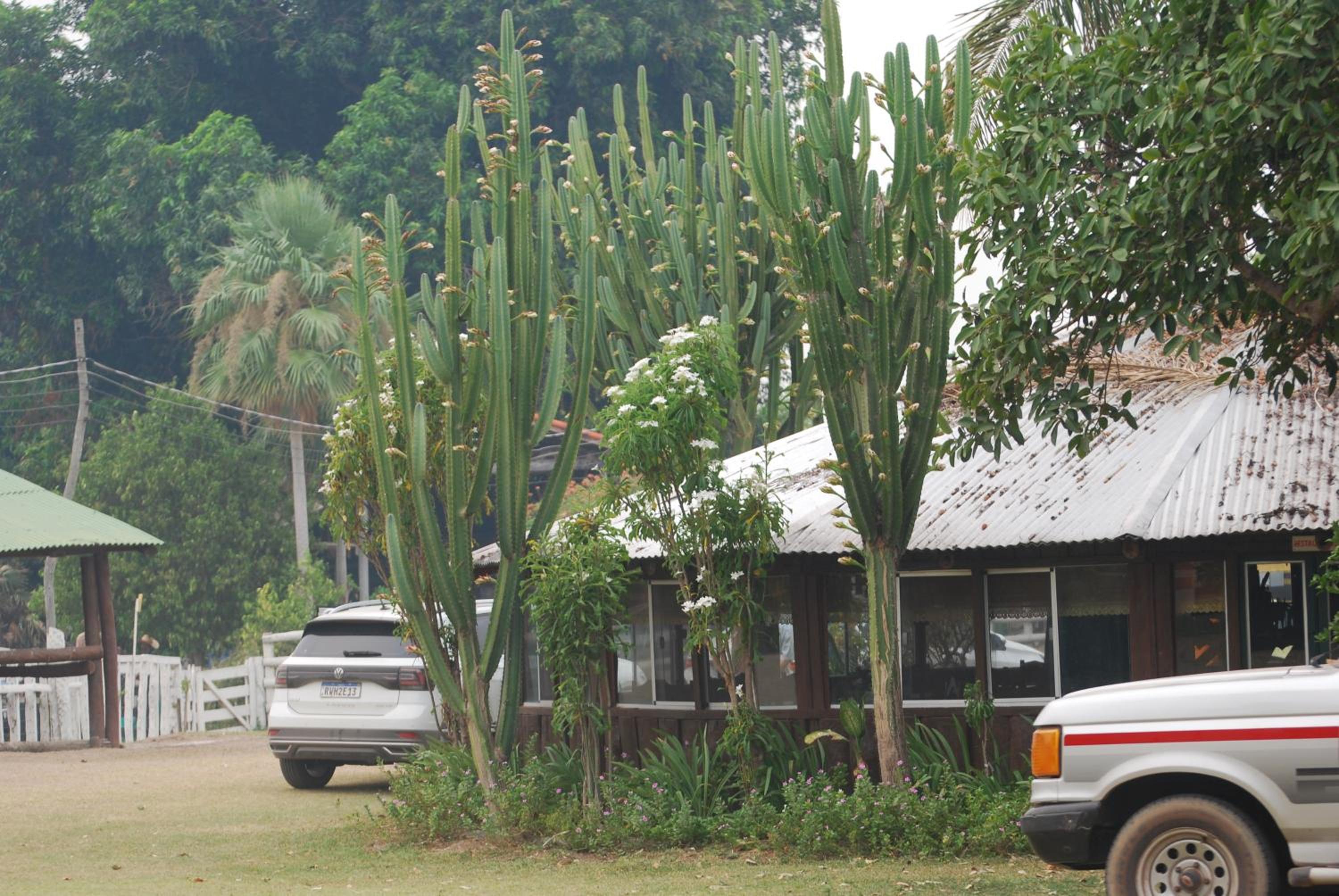 Hostel Camping Road Park Pantanal Sul
