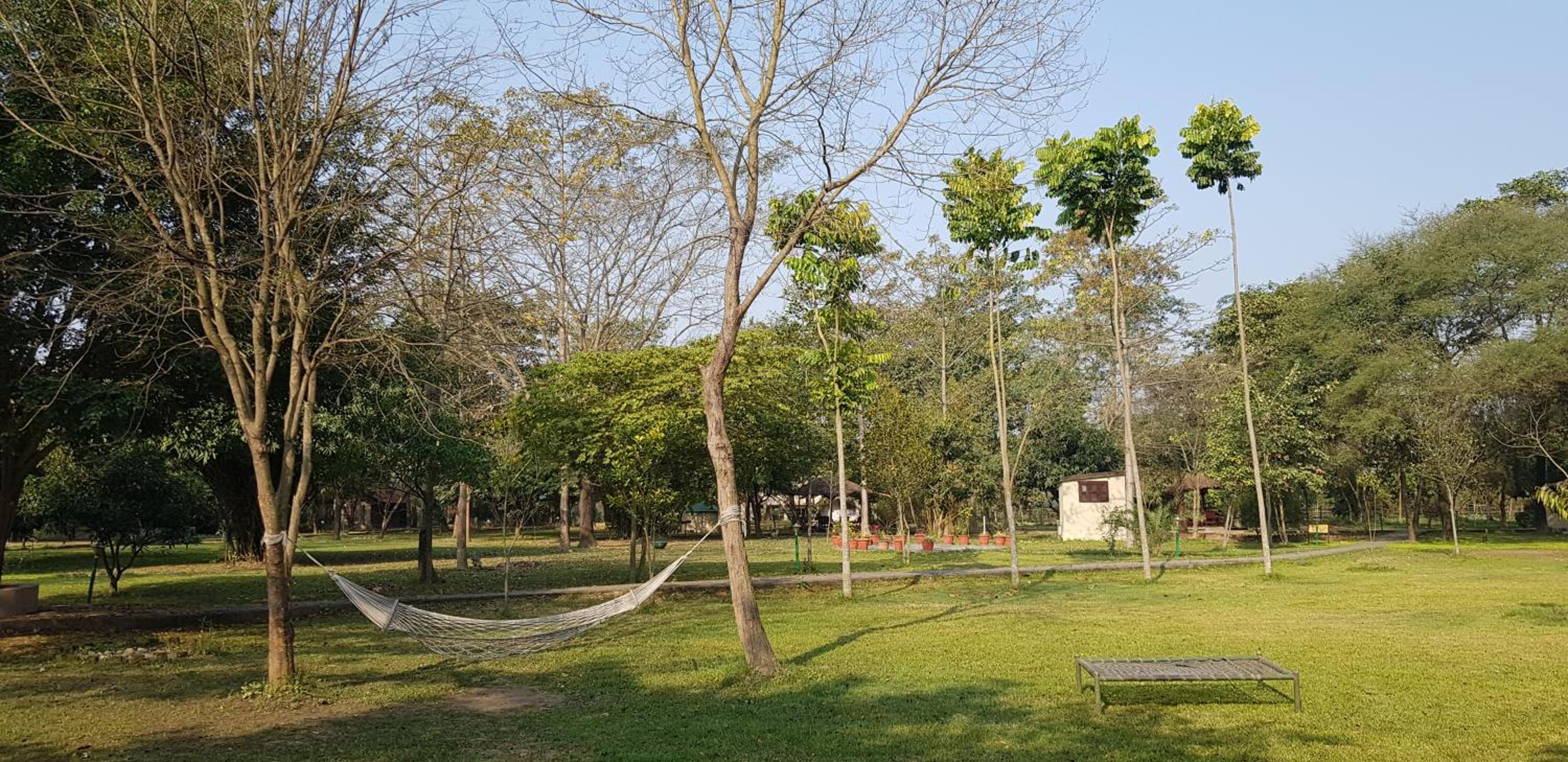 Lumbini Buddha Garden Resort