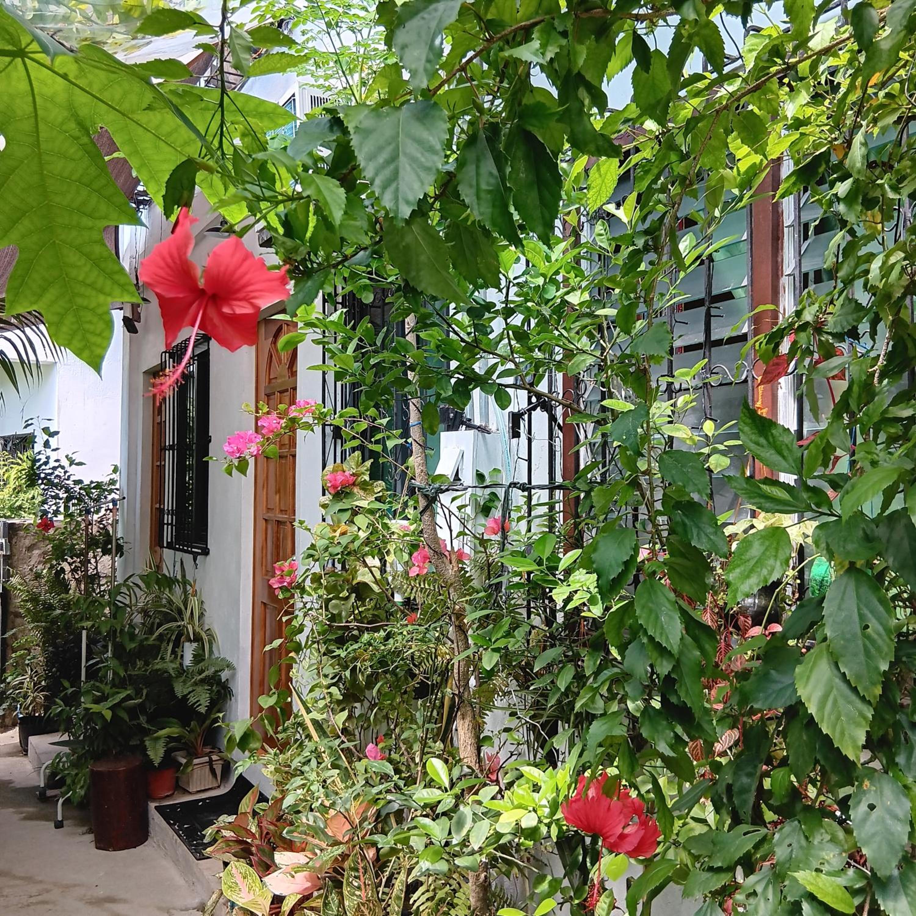 Susing Seaside Guesthouse view 4