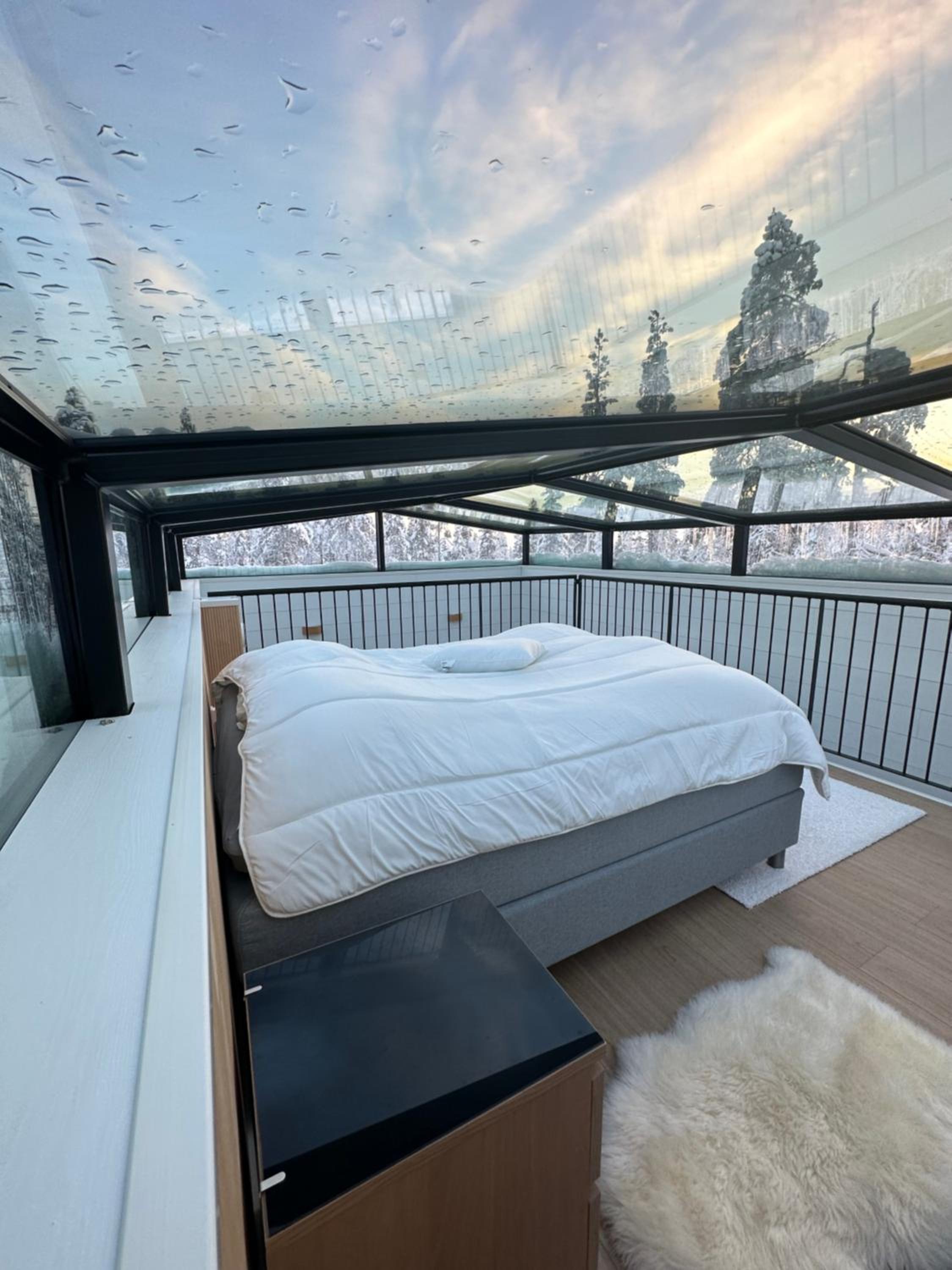 Levi Aurora Sky
