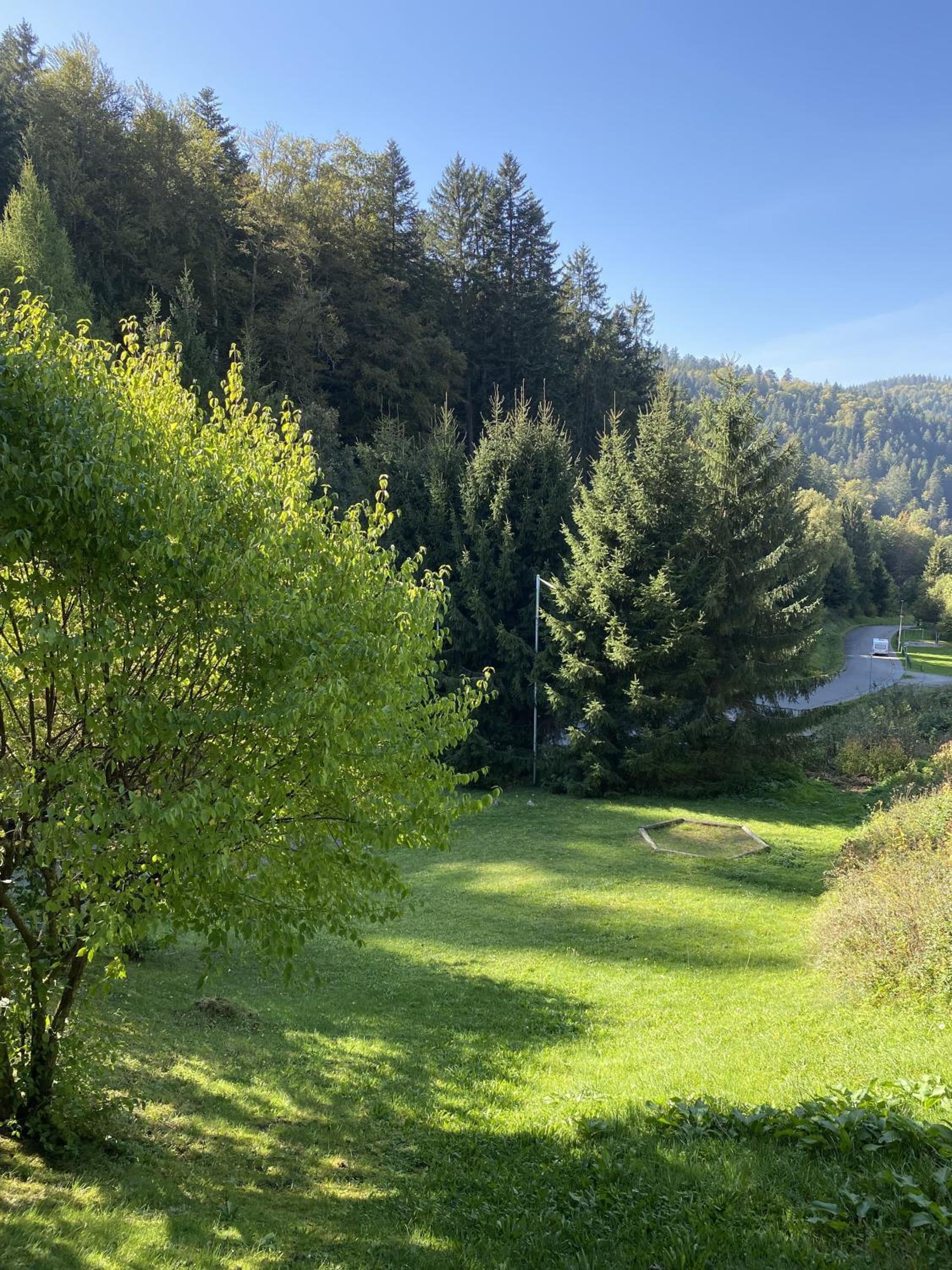 Schwarzwaldblick