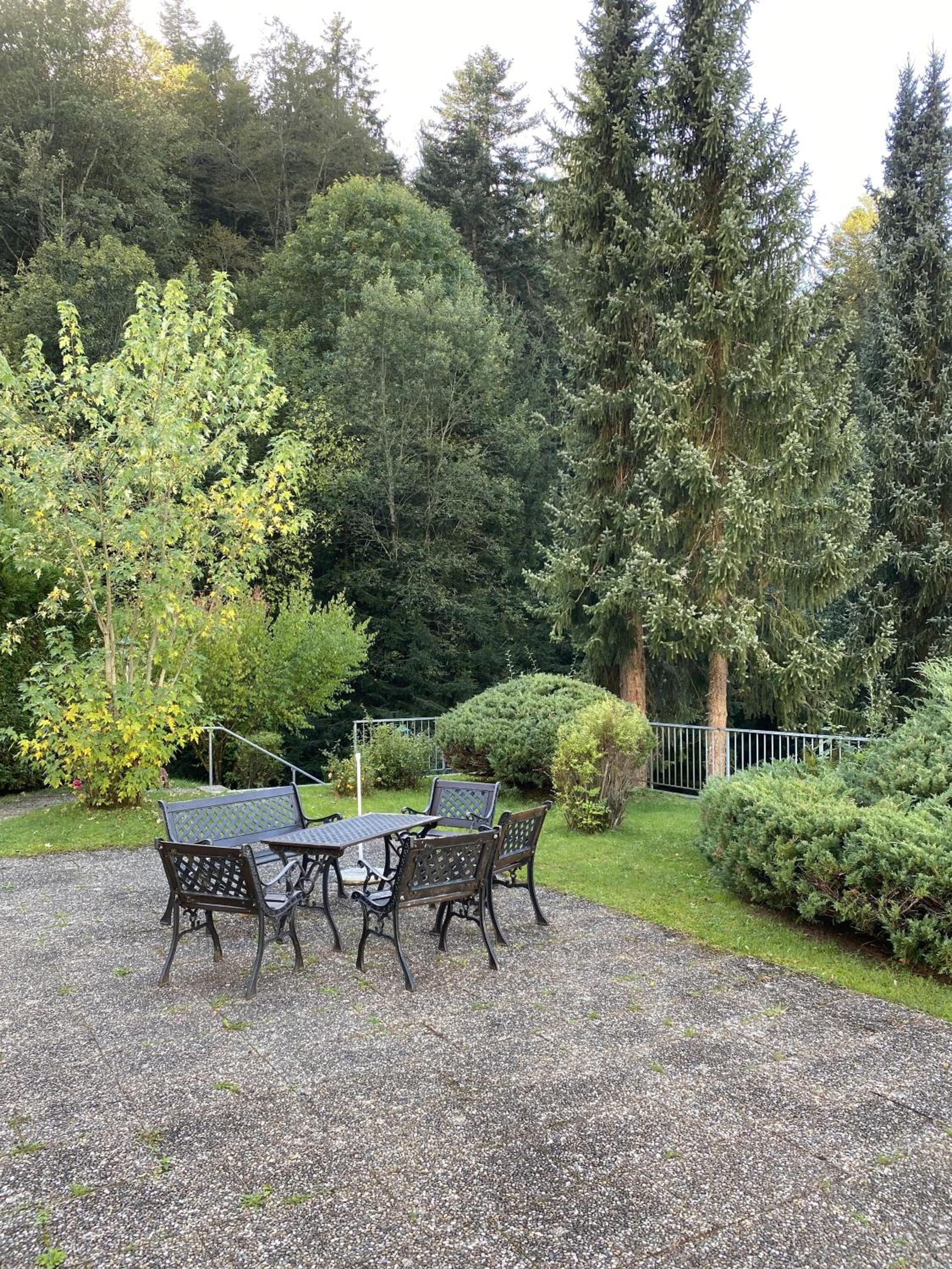 Schwarzwaldblick