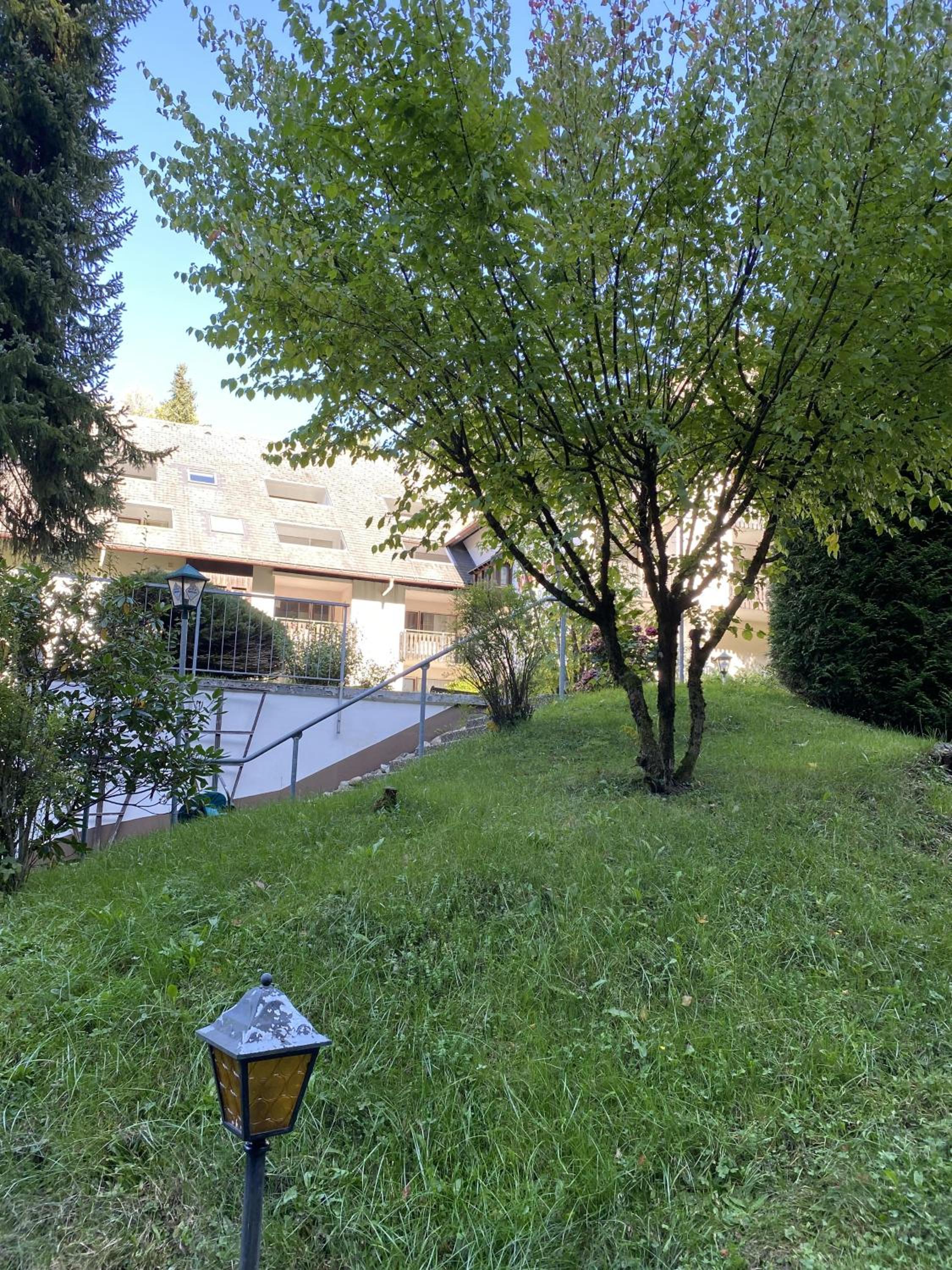 Schwarzwaldblick