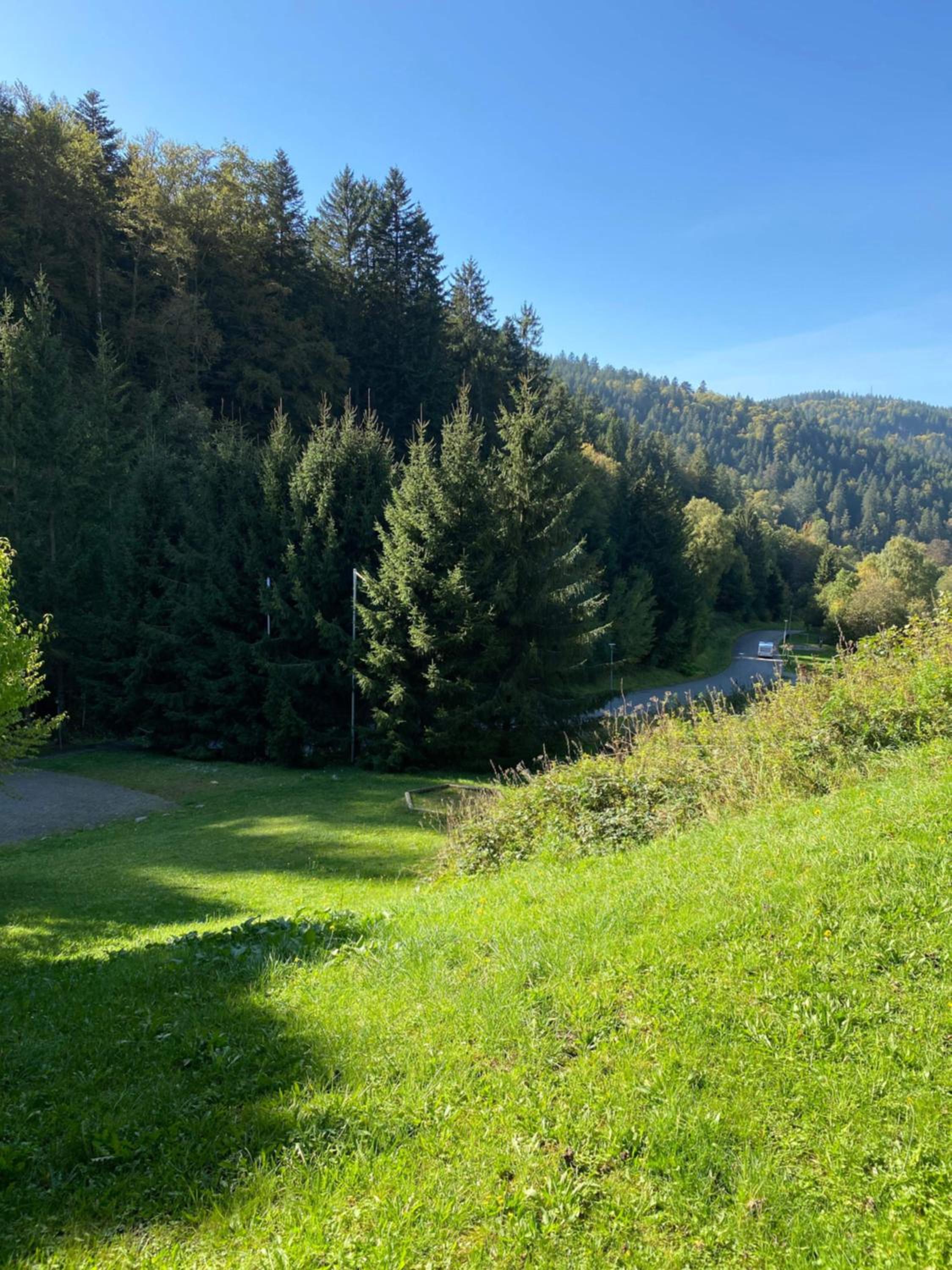 Schwarzwaldblick