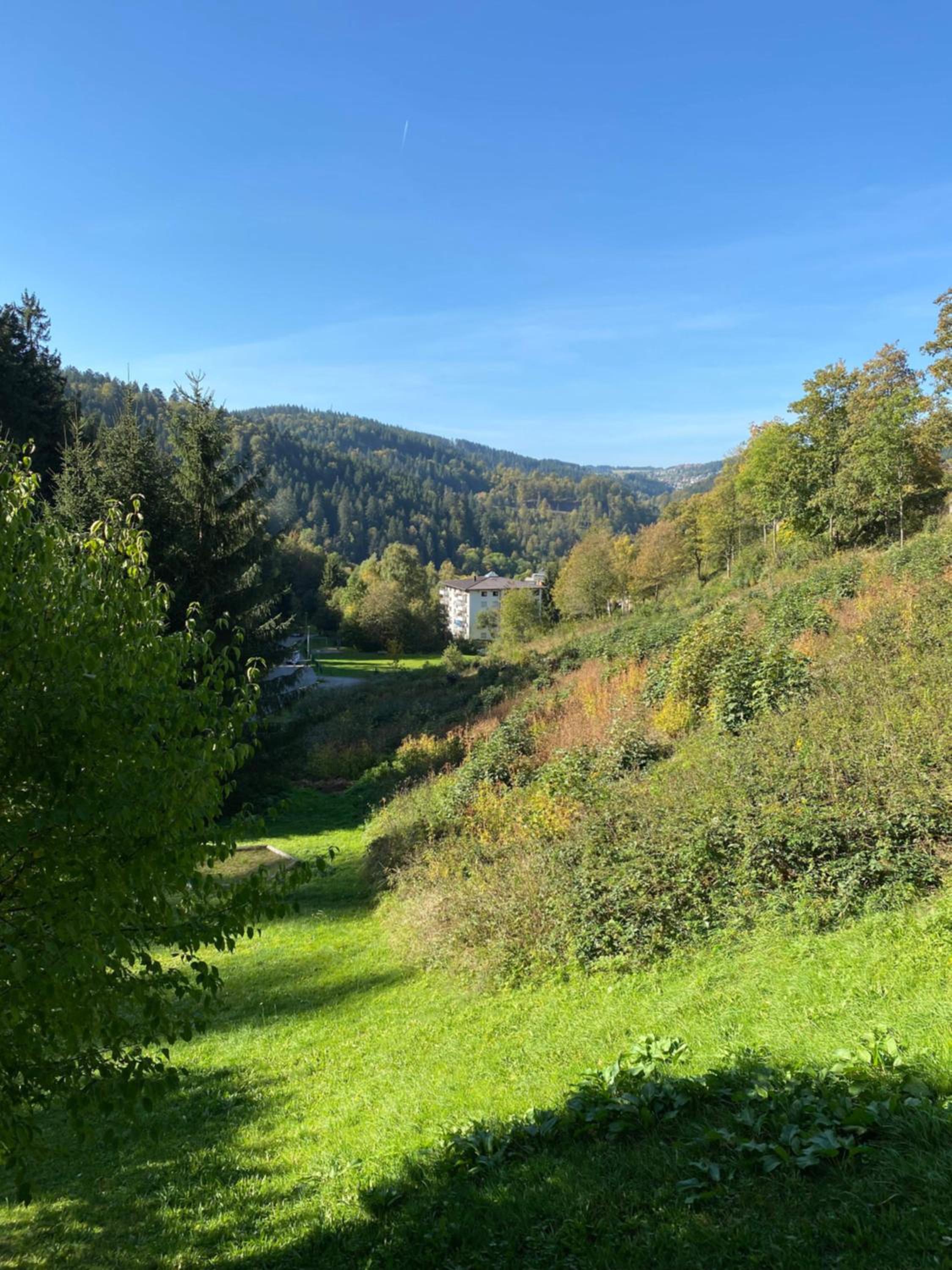Schwarzwaldblick
