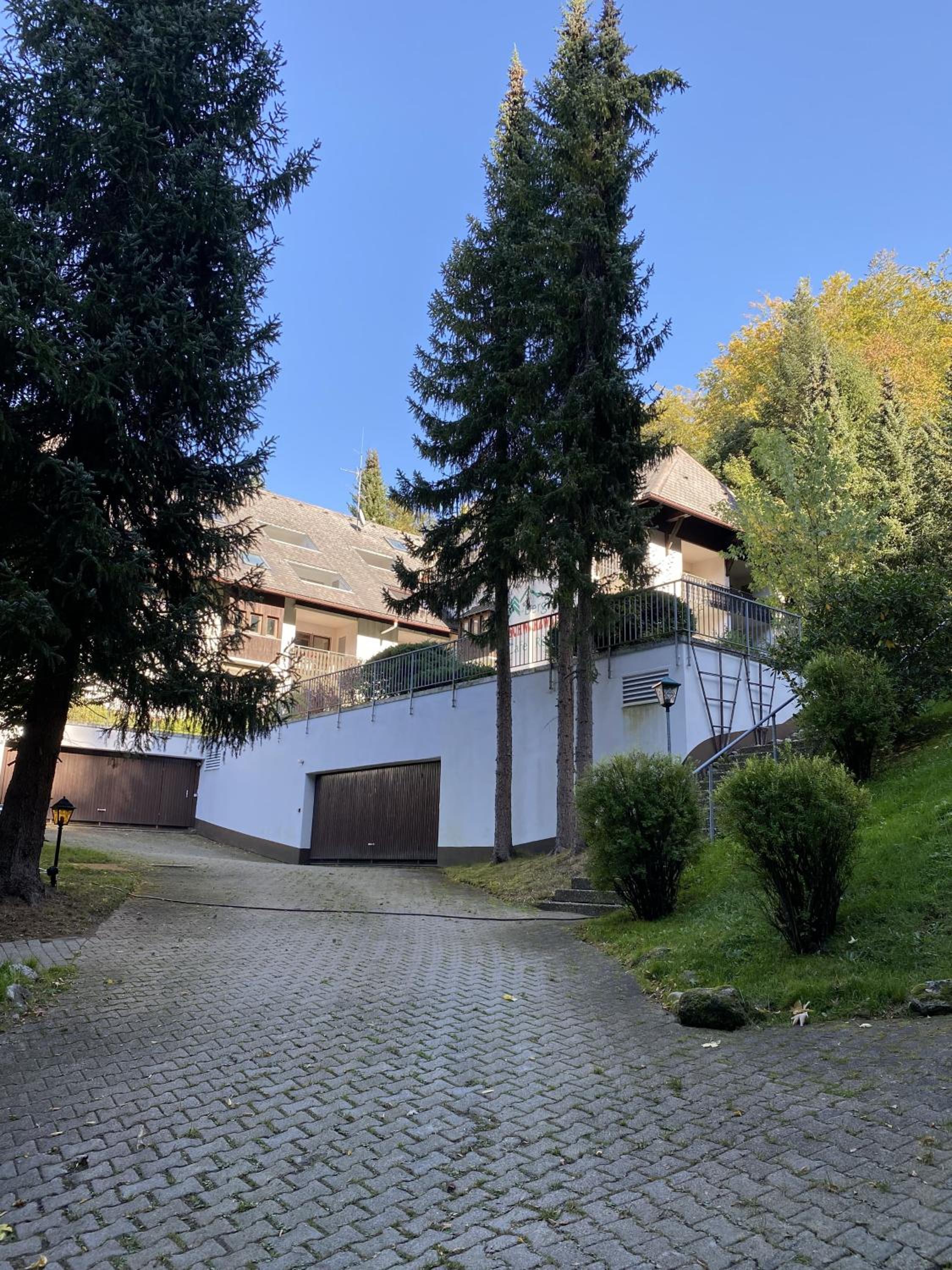 Schwarzwaldblick