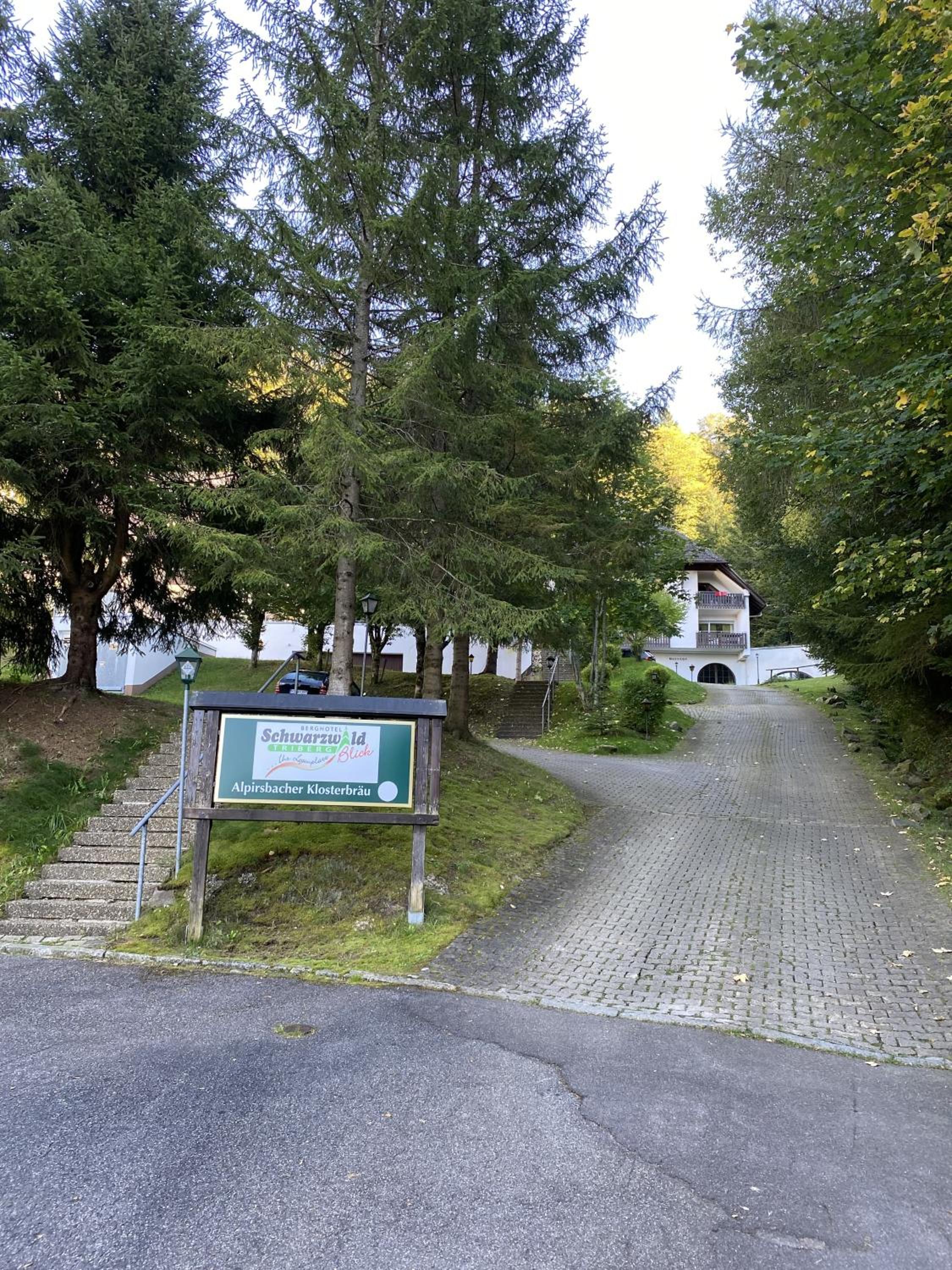Schwarzwaldblick