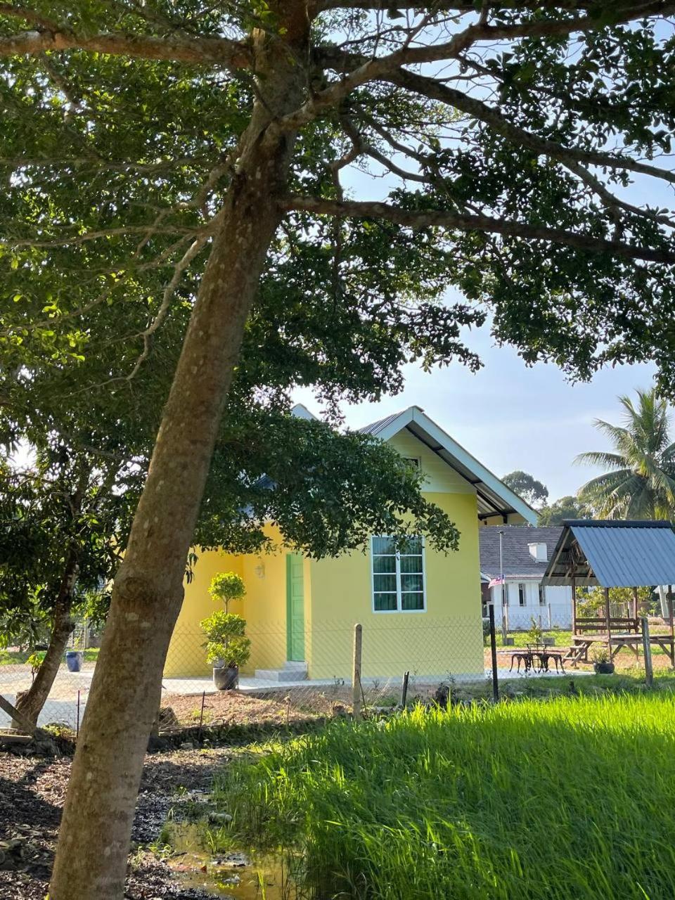Payan Tiny House Jertih photo 2