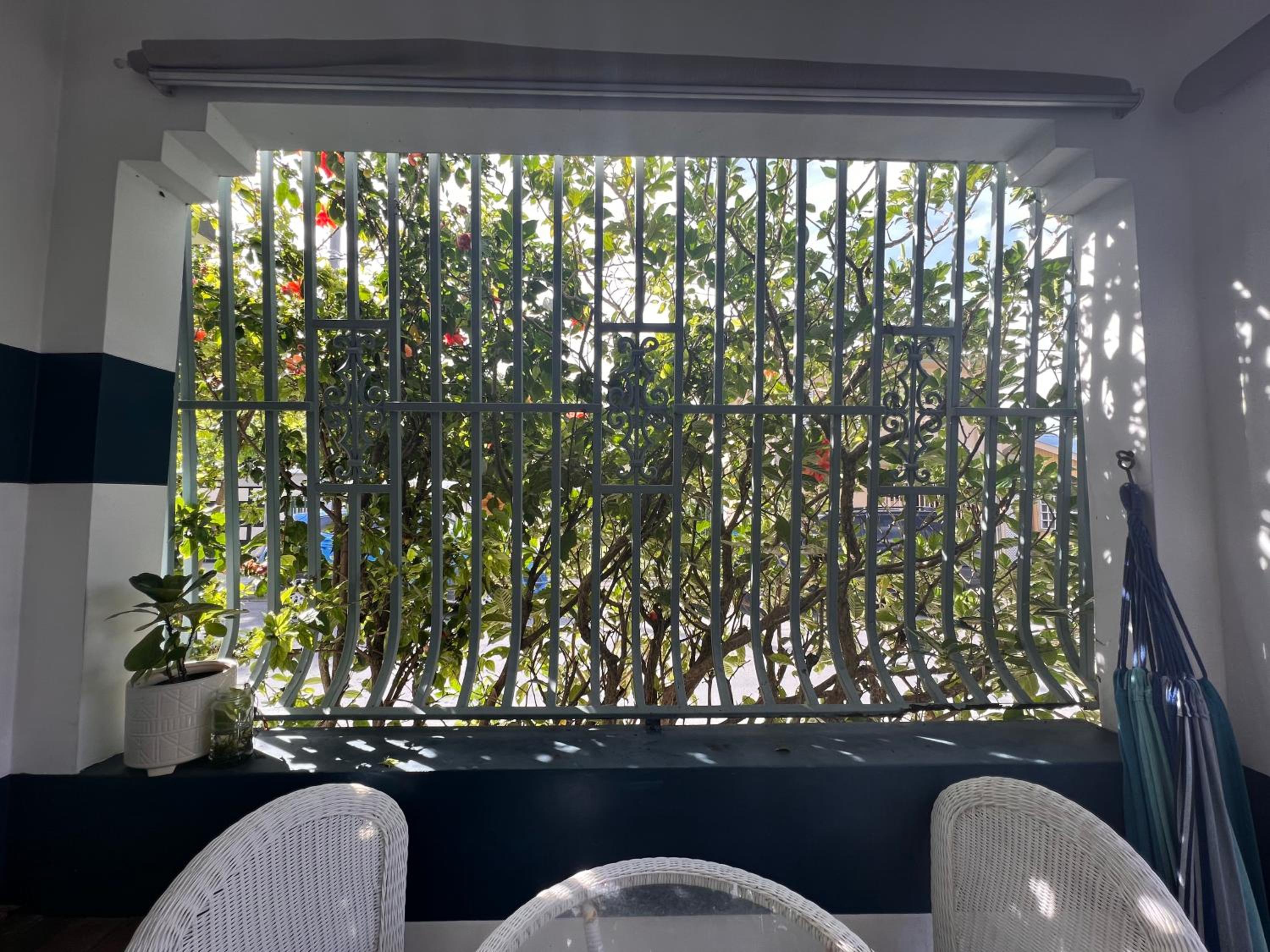 Sonsoleá, photo 56