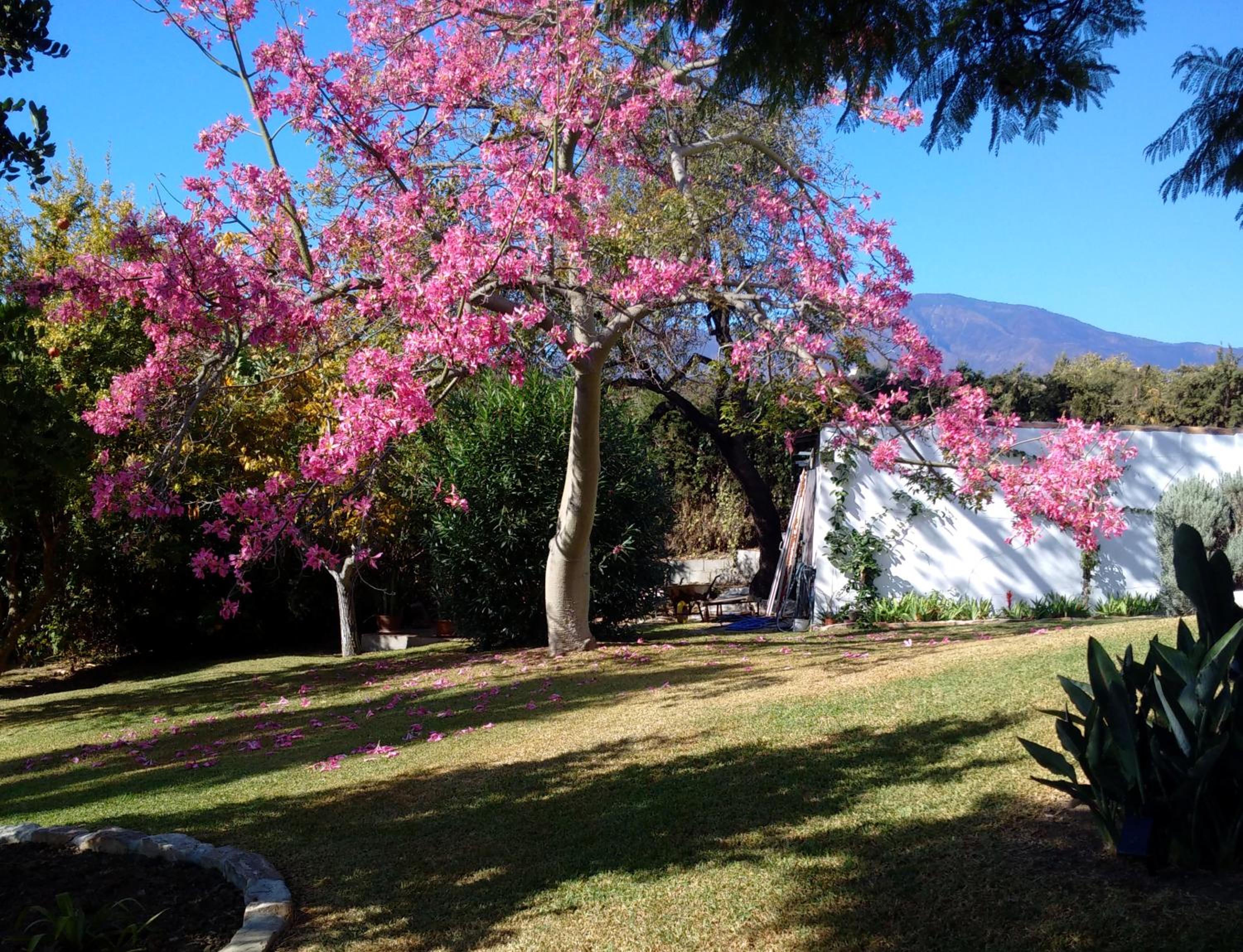 La Casita
