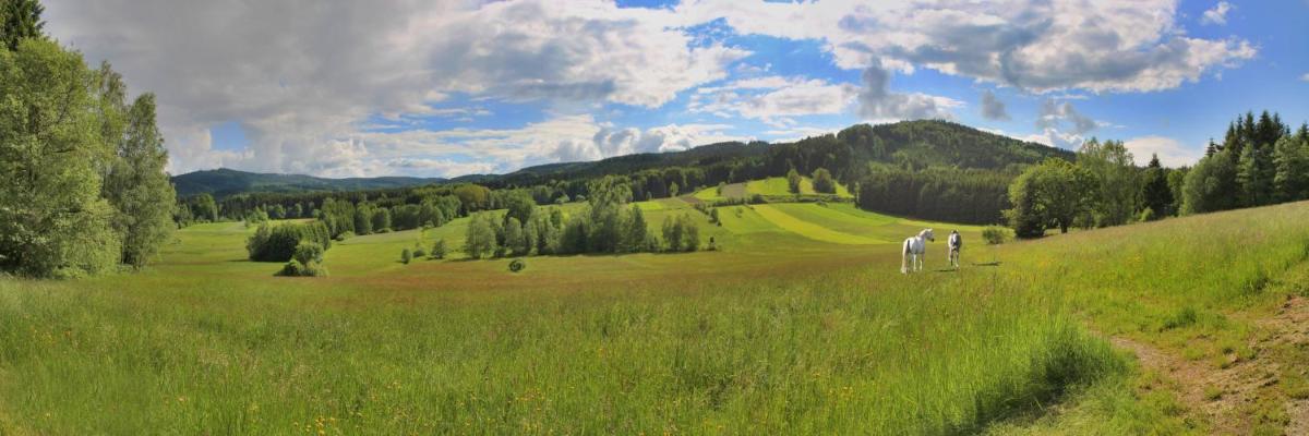 Penzion Šejby