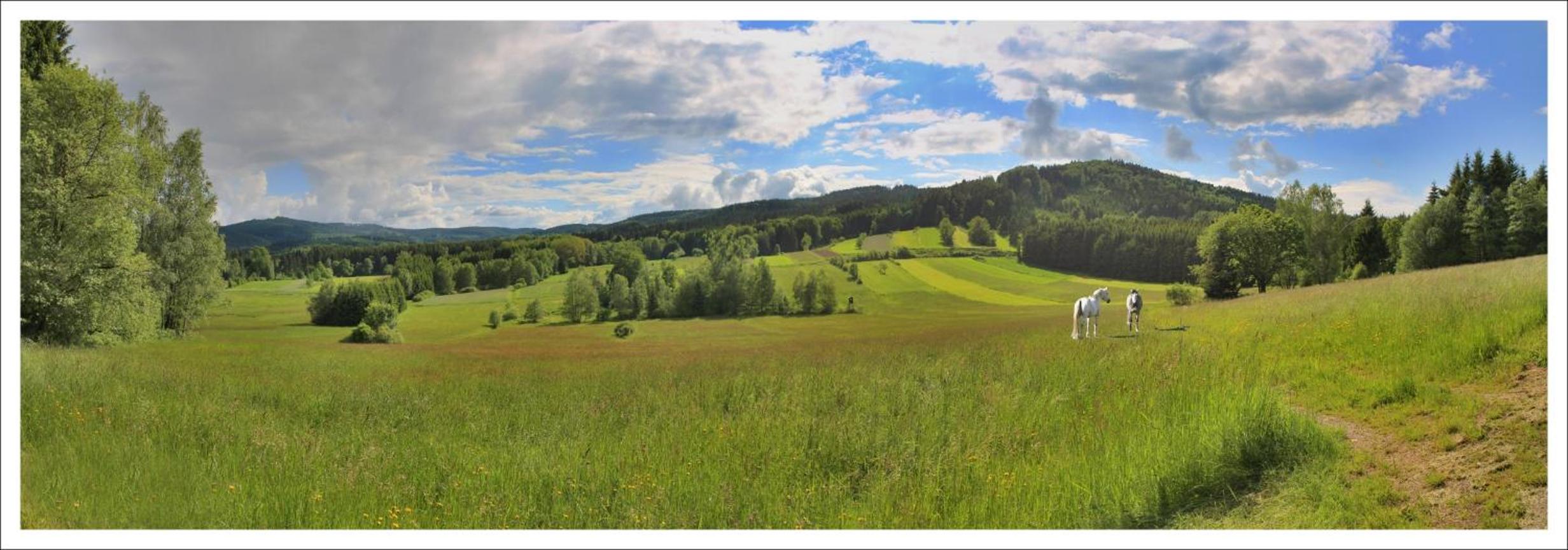 Penzion Šejby