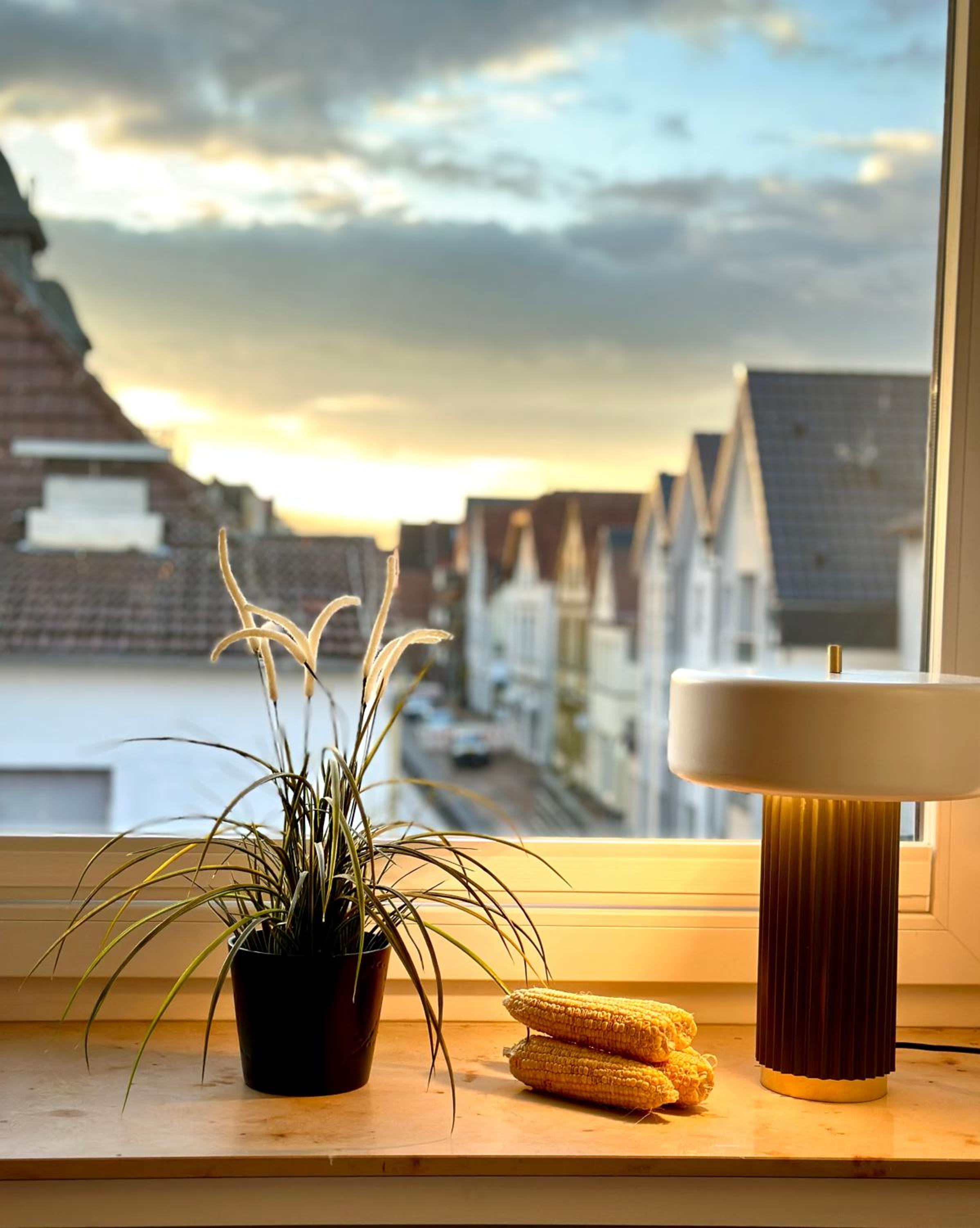 Spatzennest 2