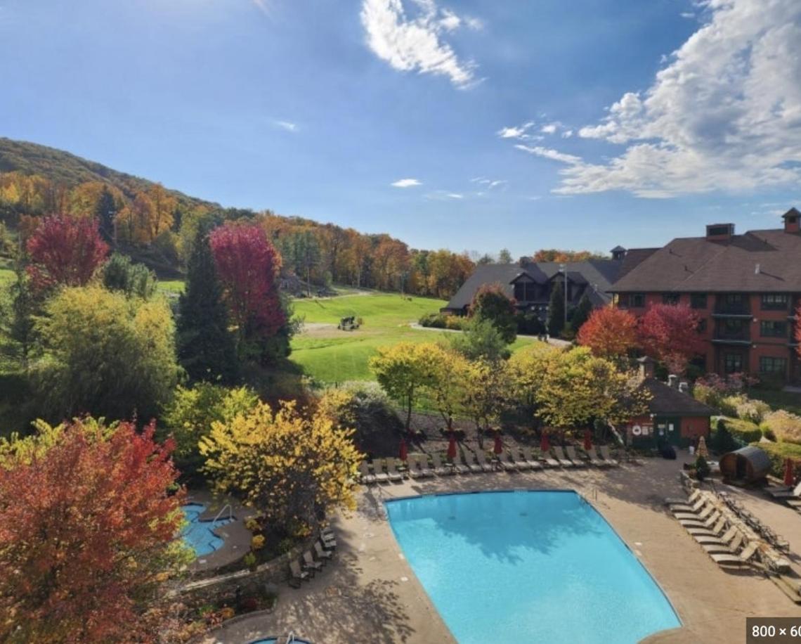 Miscellaneous Market Vacations - Cozy Mountain View Condo - Property Image 5