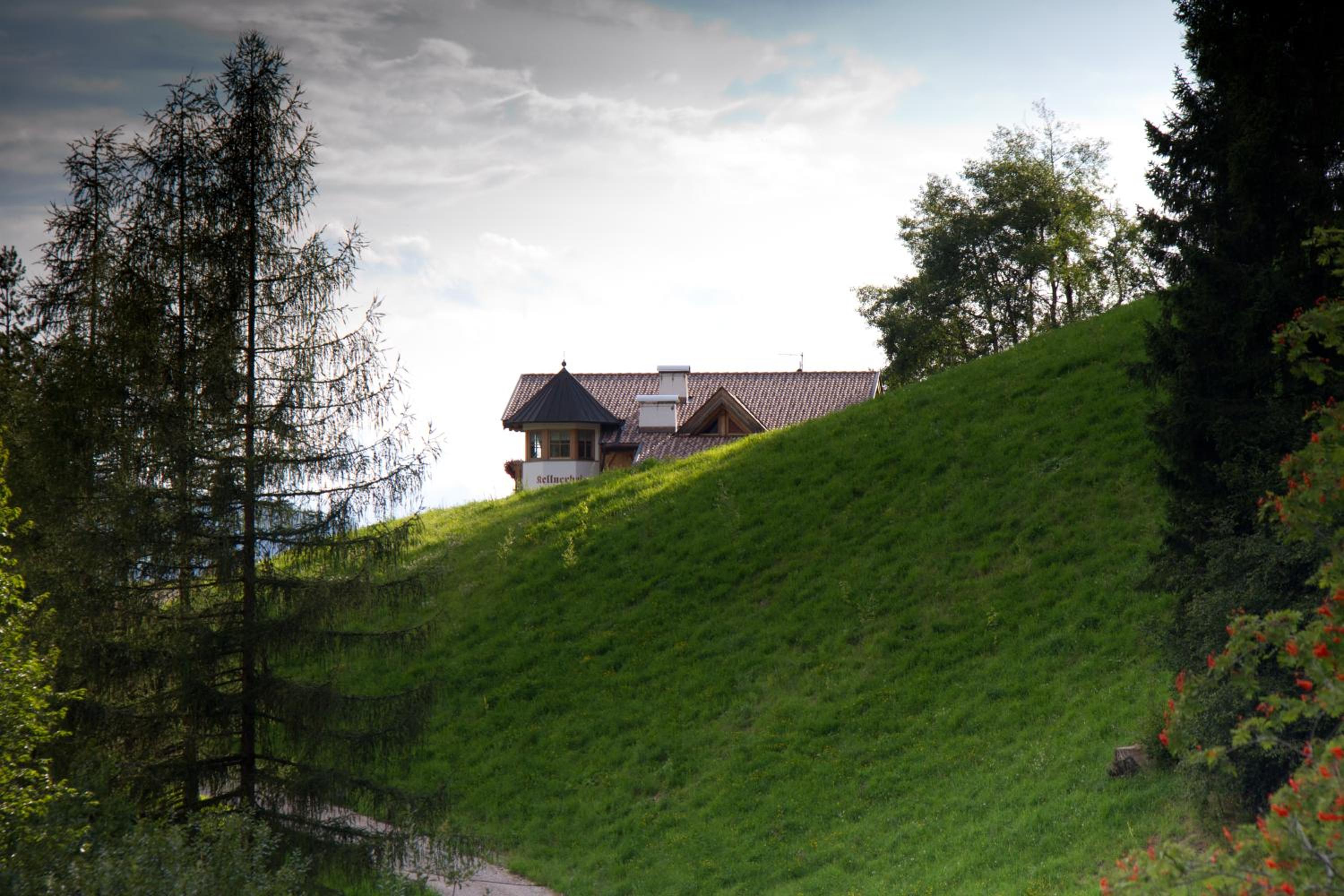 Photo 50