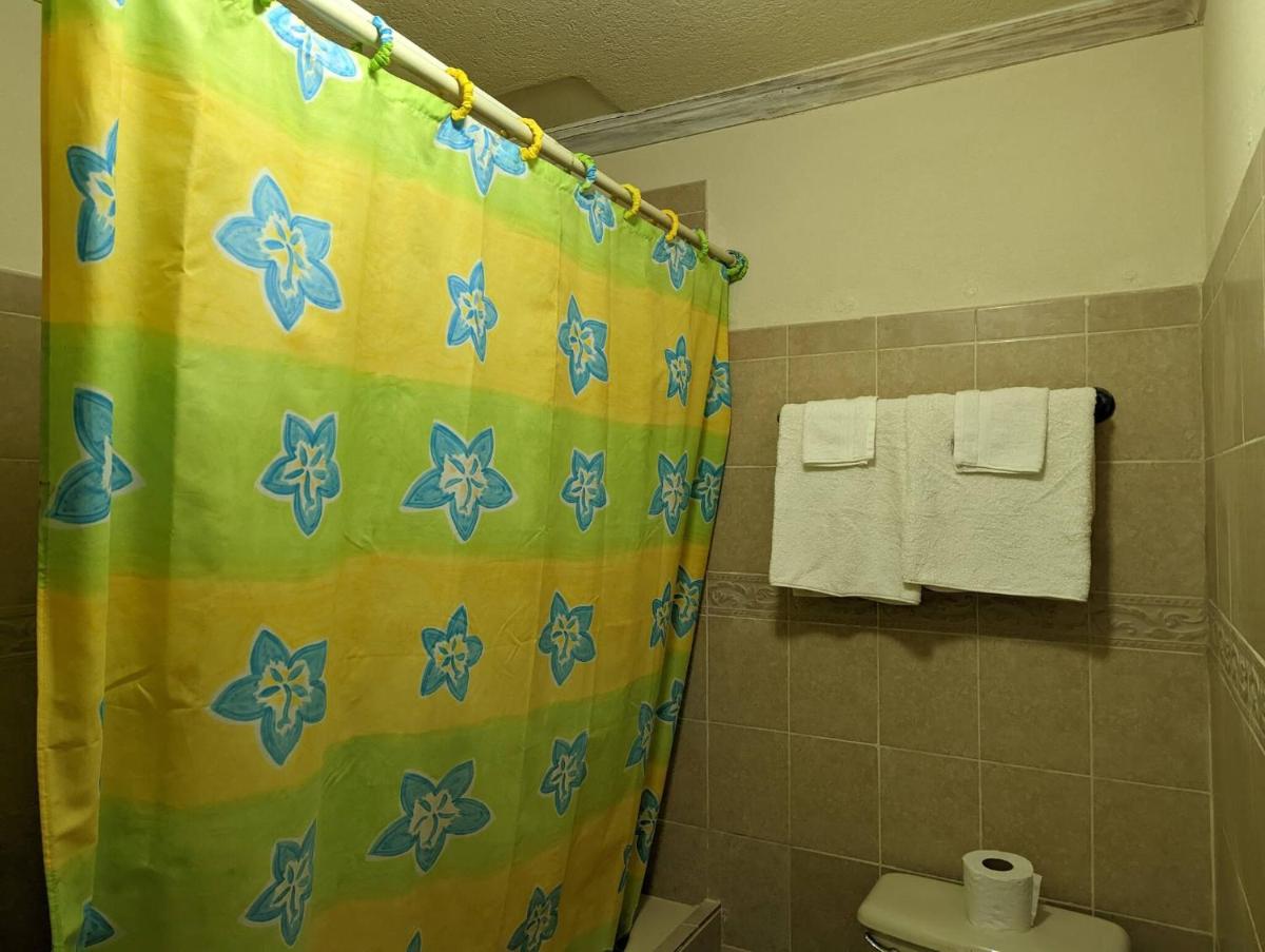 1 Bed Apt Opp Sea,windsurfing, Surf Clubs