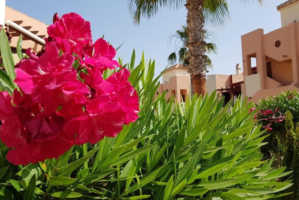 Casa Puesta Del Sol