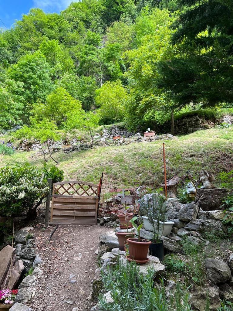 B&B Il Mulino alla Busa view 3