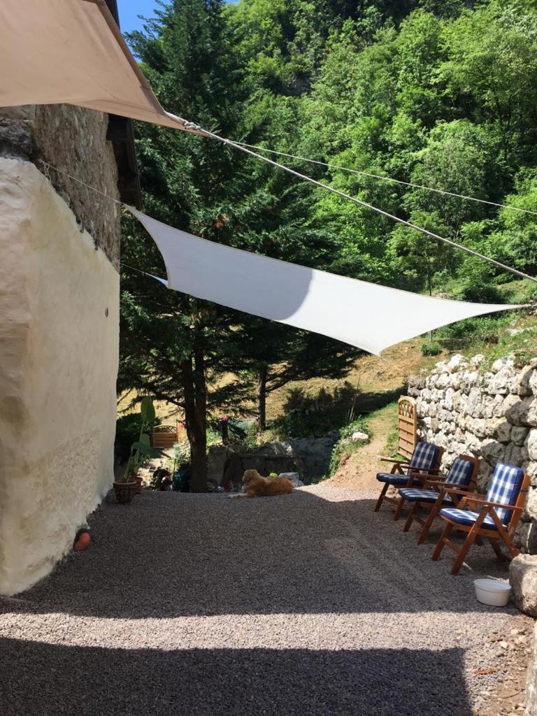 B&B Il Mulino alla Busa view 4