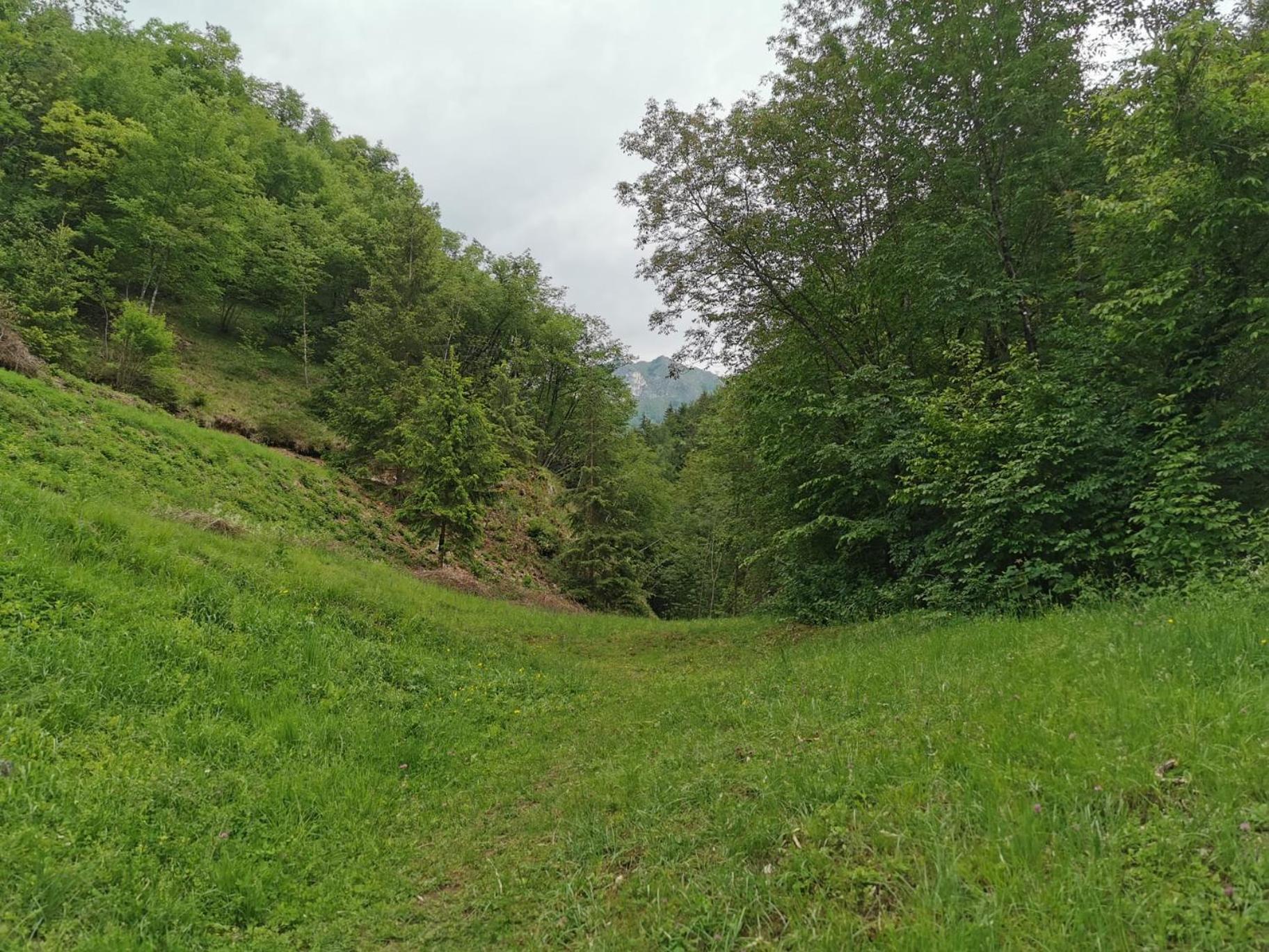 B&B Il Mulino alla Busa view 5