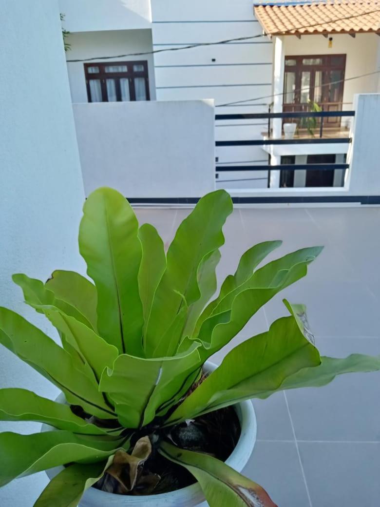 Dream Villa view 5
