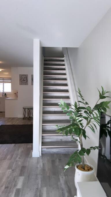 Classy single family house, walk to St Boniface