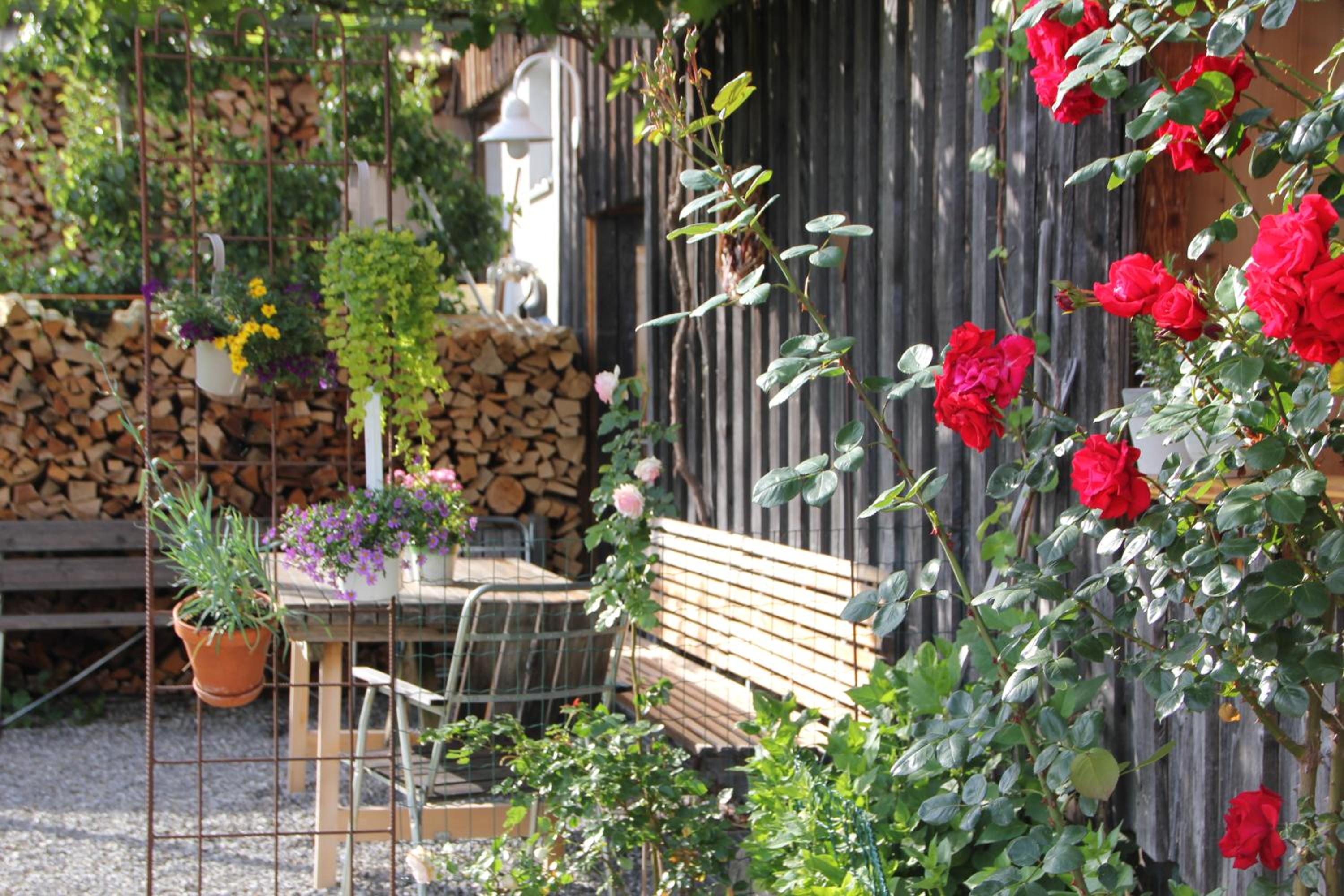 Bio Ferienbauernhof Greber - Natururlaub mit Ponys & Kaninchen