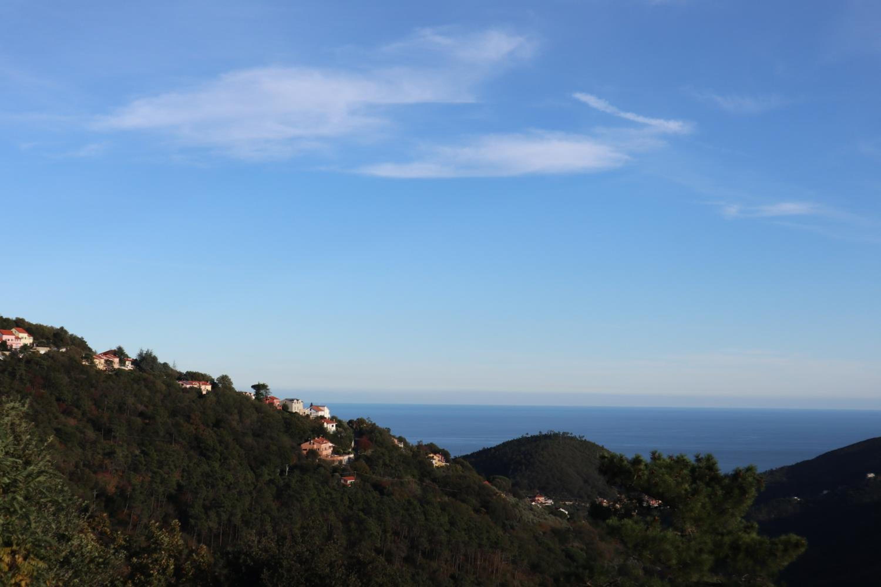 Suite con vista view 2