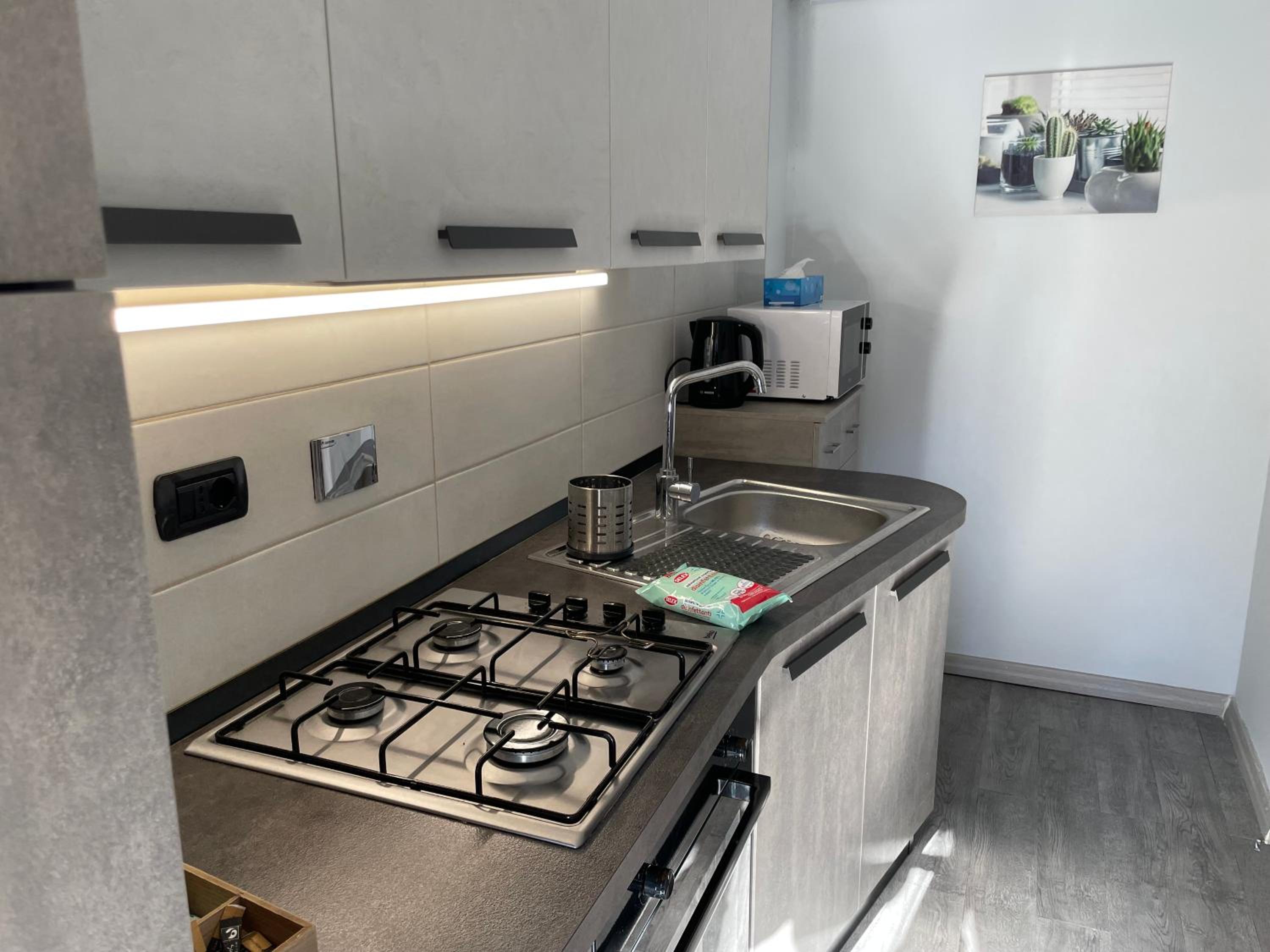Comfy Turin Apartment