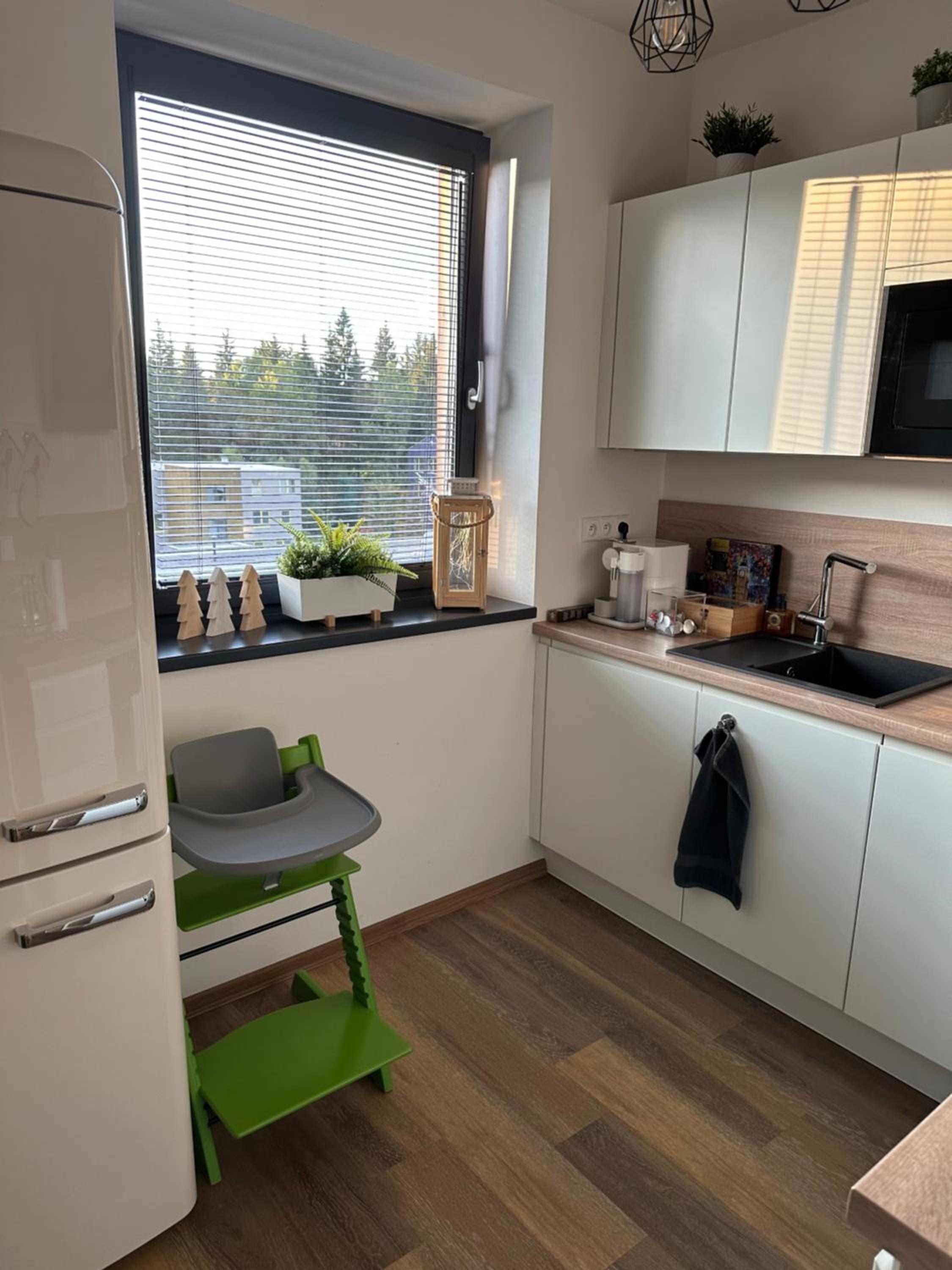 U jelena Harrachov - rodinný apartmán u lesa s garáží