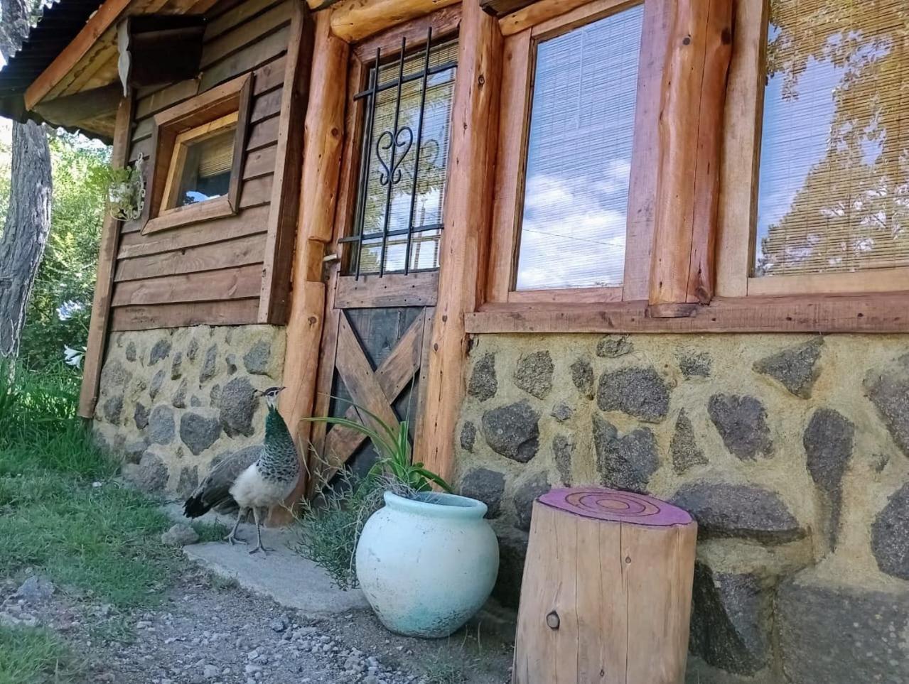 cabañas de altura tierra agreste