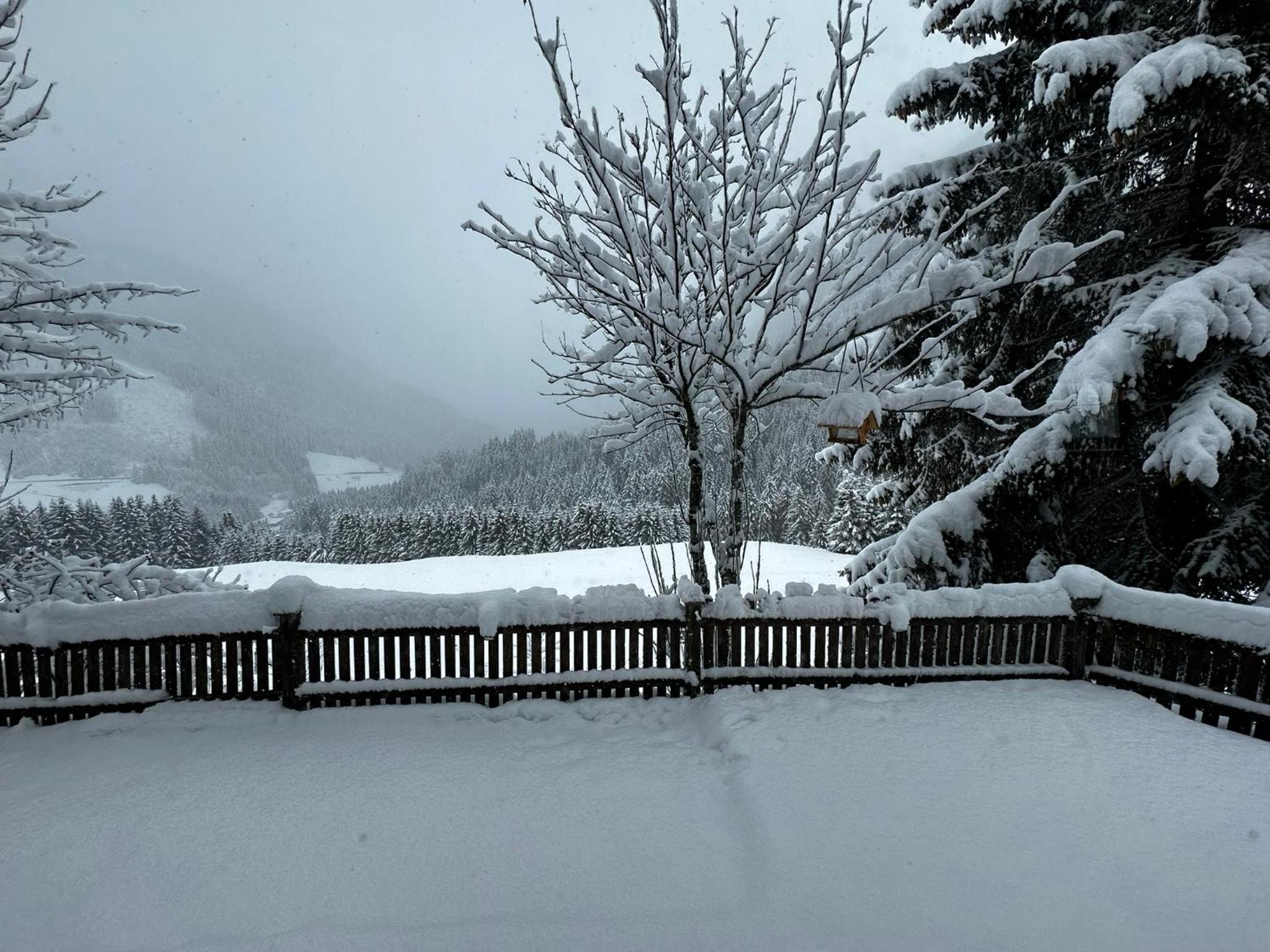 Berwang Chalets - Älpele Hof
