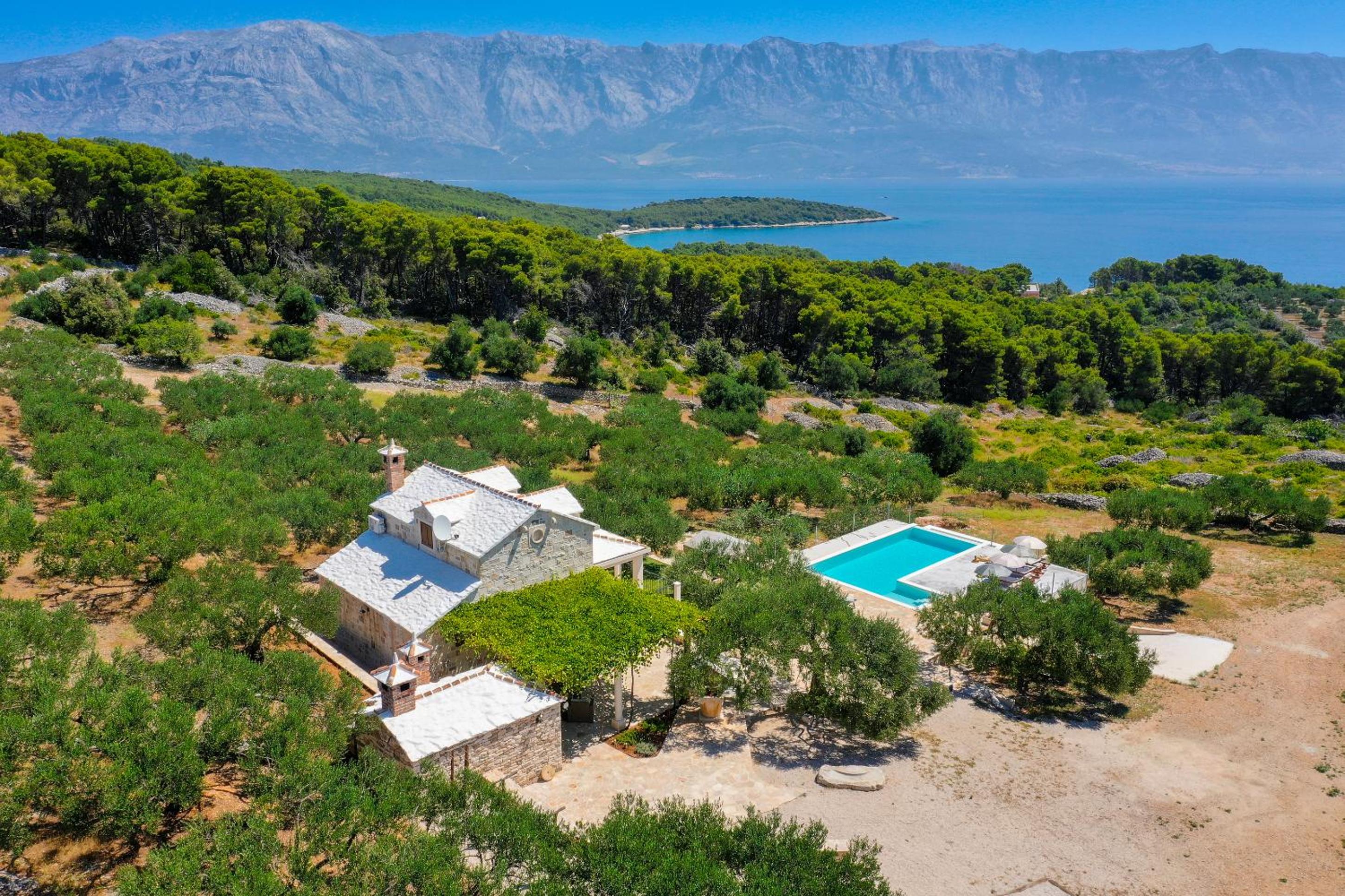 Unique villa in olive field with salted swimming pool-Villa Frida