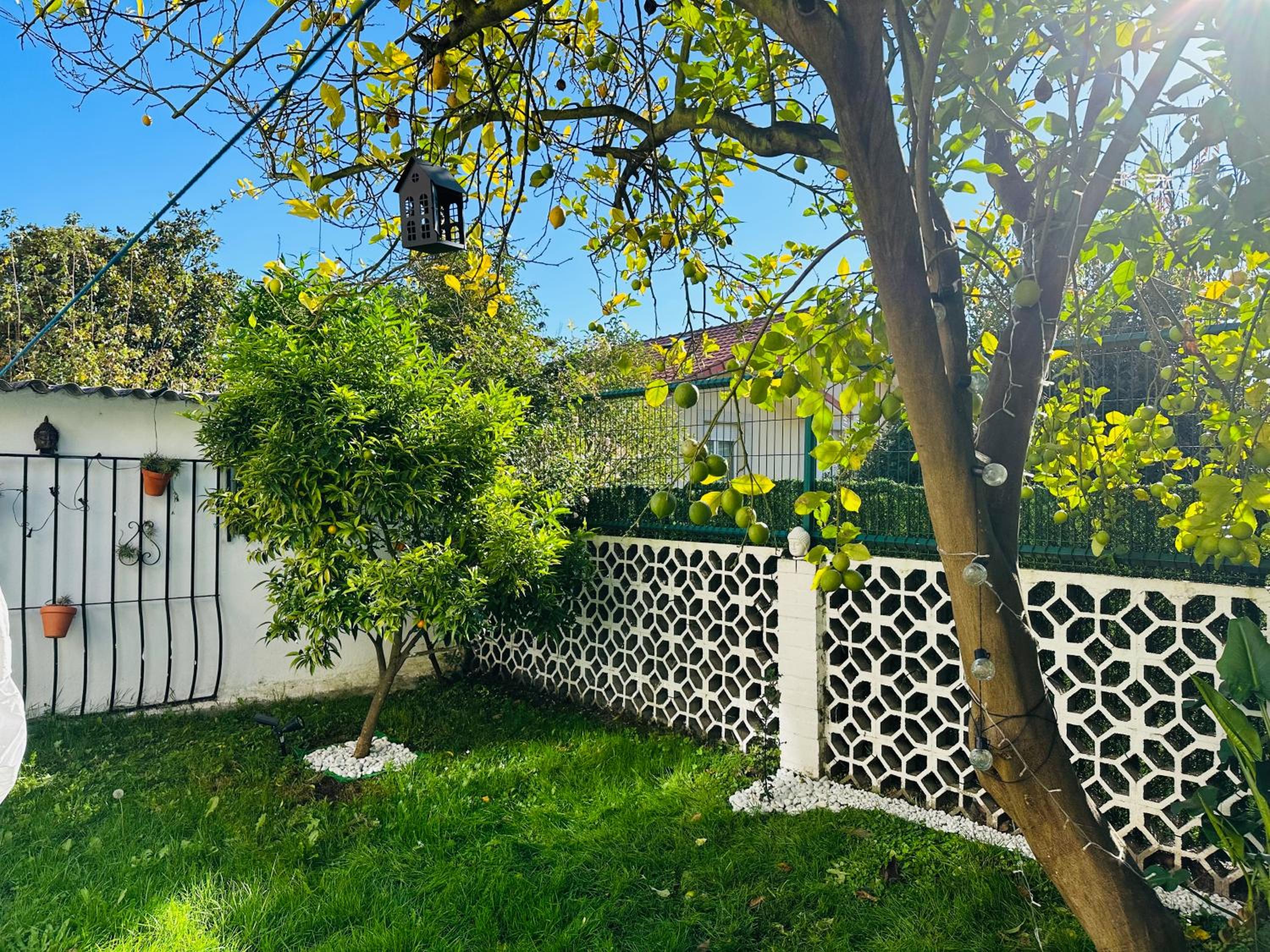 ROSALES Apartamento y jardín