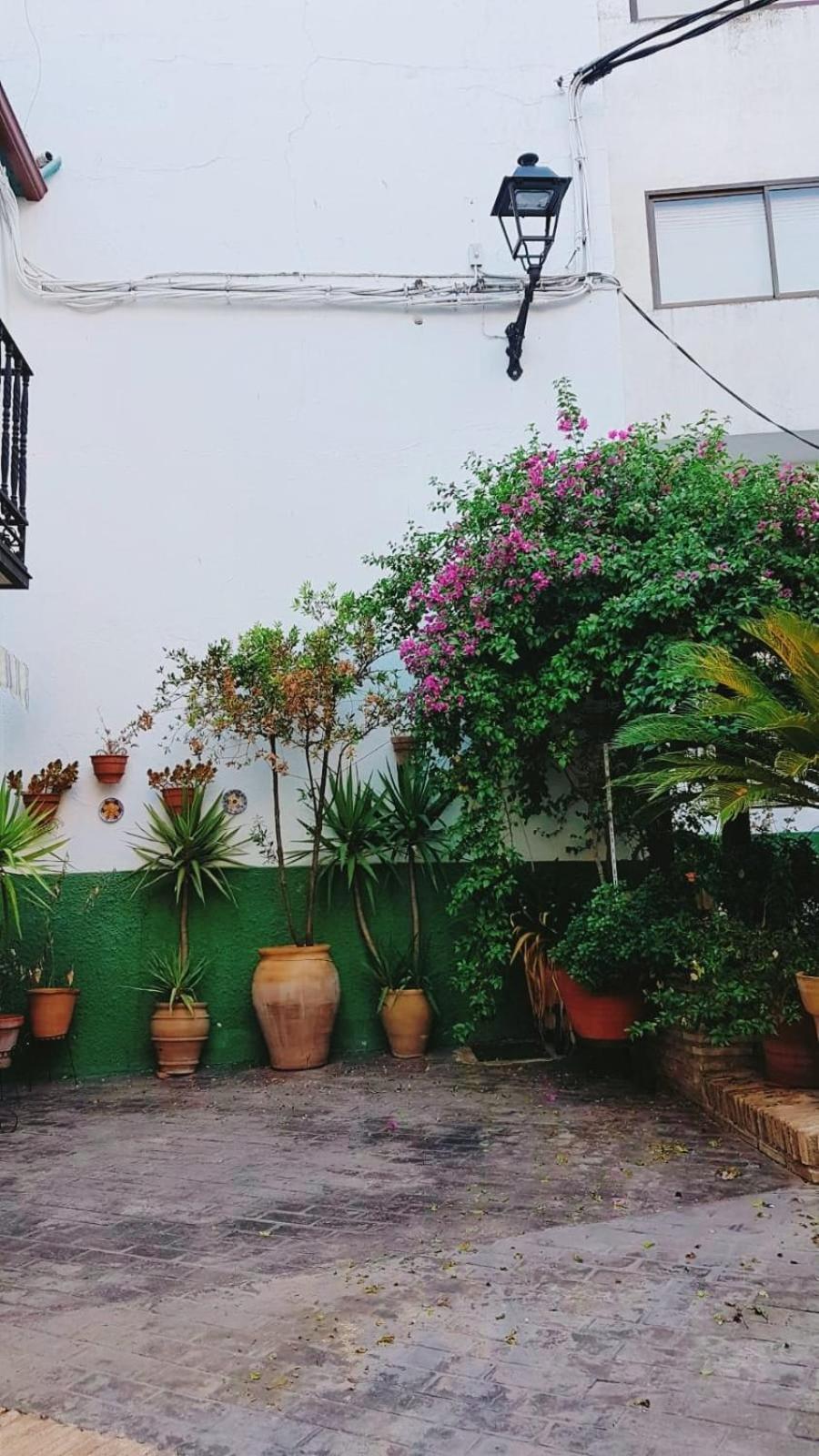 Casa Rural Maestre