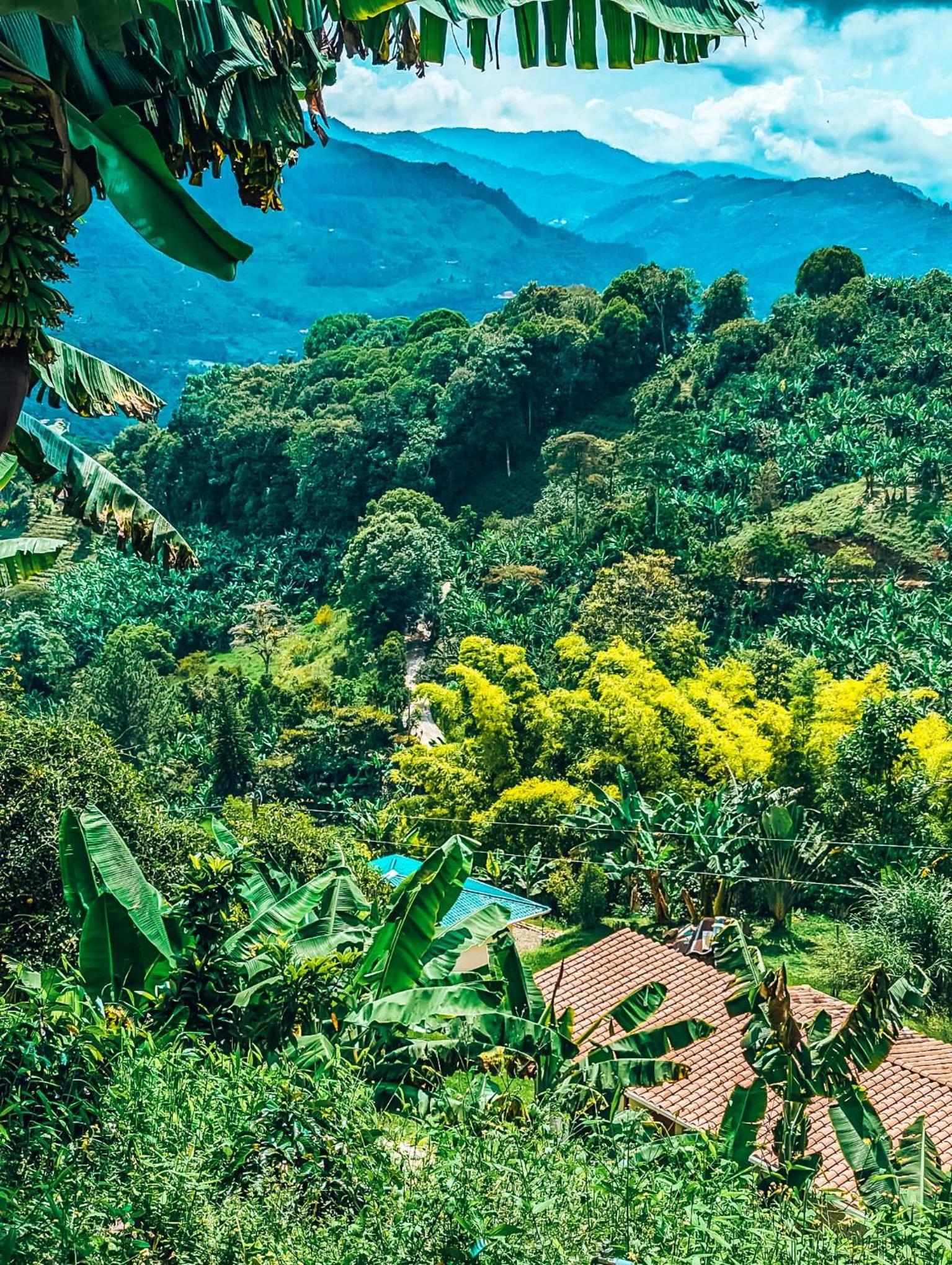 Glamping Jardín