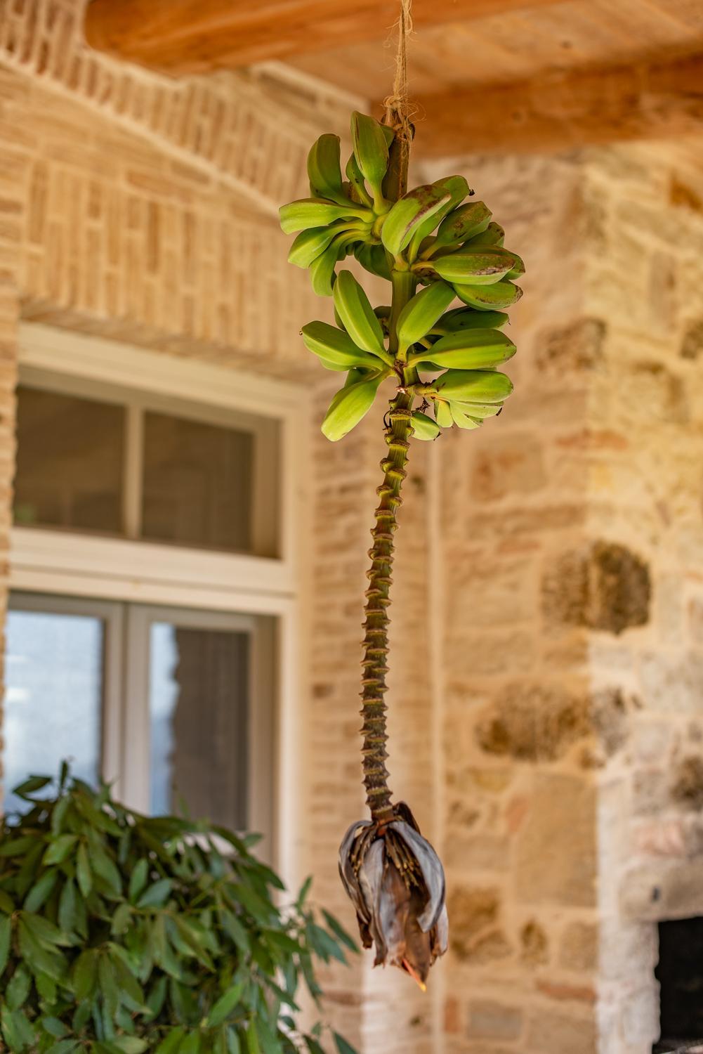MaisonRose Corfu