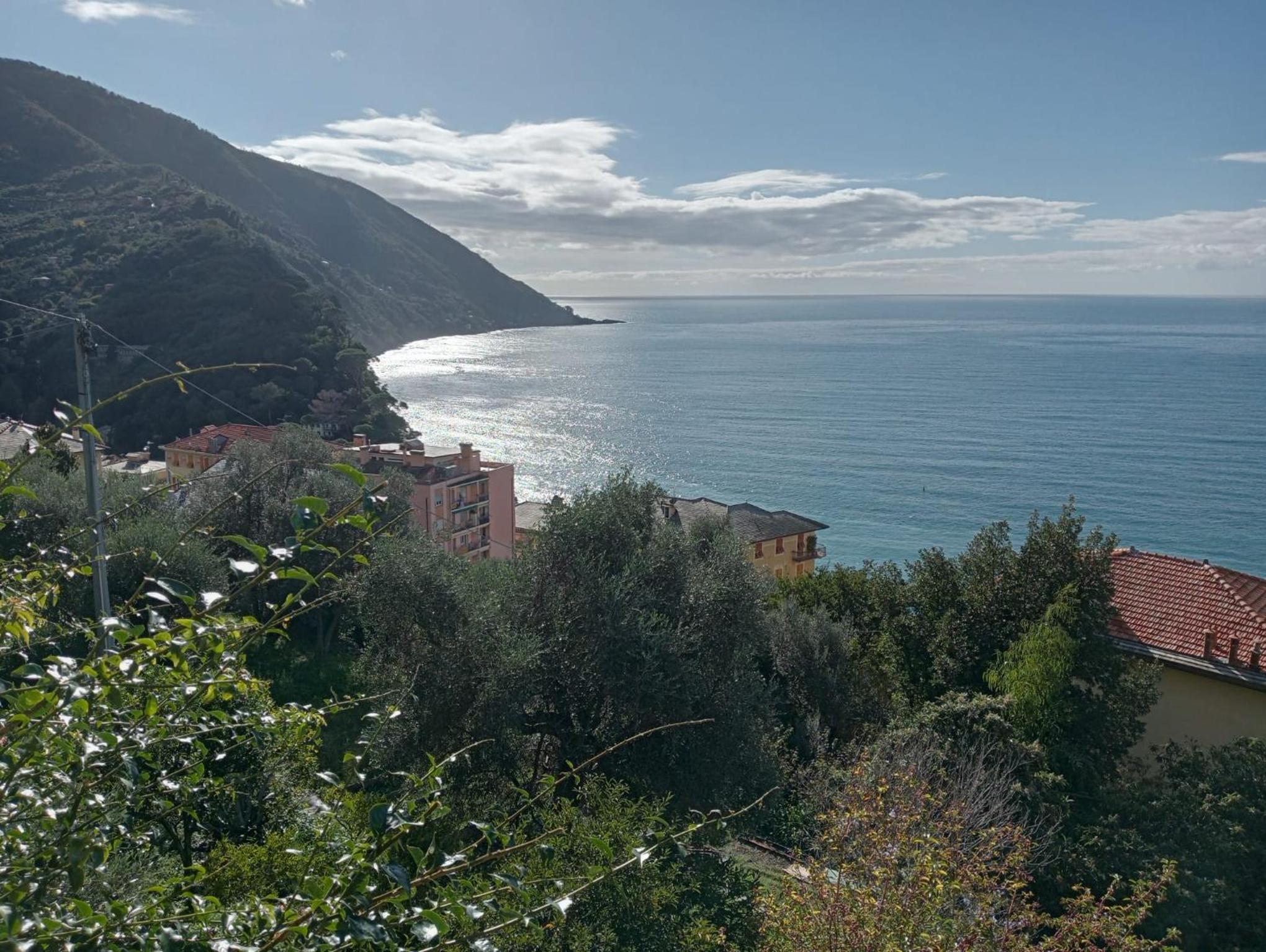 Giardino sul Mare photo 4