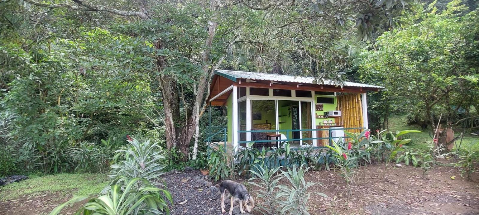Casita Maripier Colón