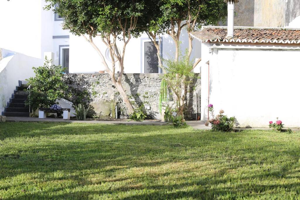 city center, 200 meters to marina, walk to everything, private yard and garden view 4