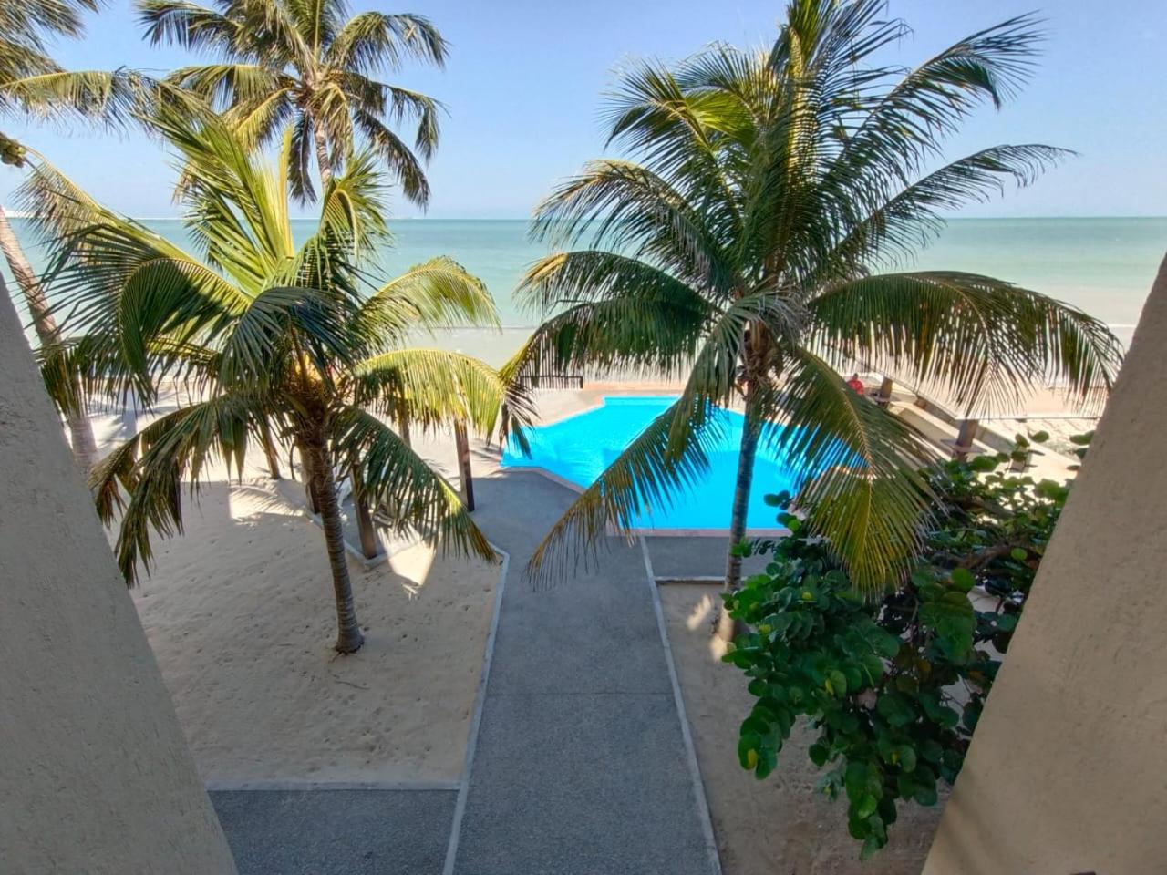 Departamento E4 Orca frente al mar en progreso view 5