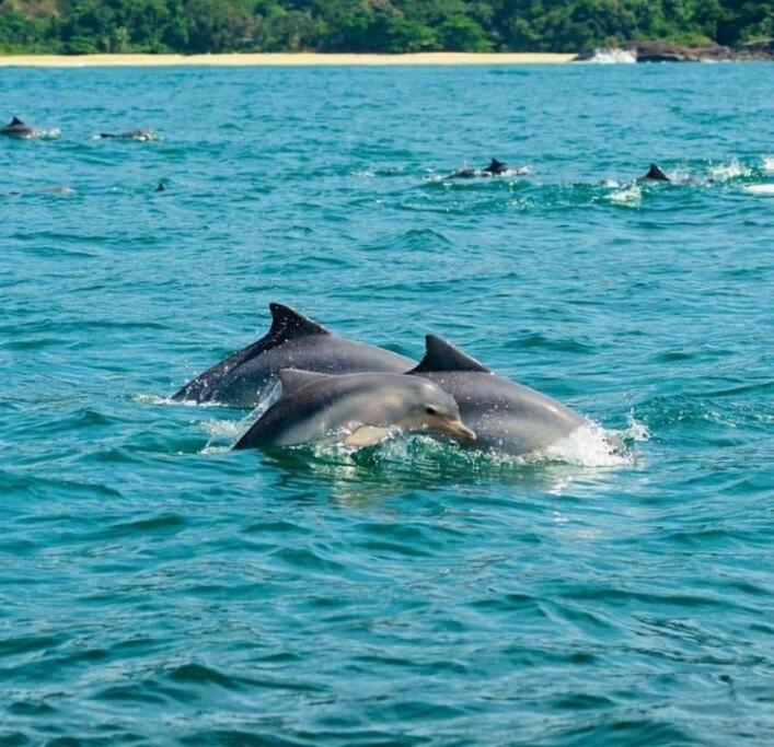 Incrível ap UBATUBA centro vista para o mar!