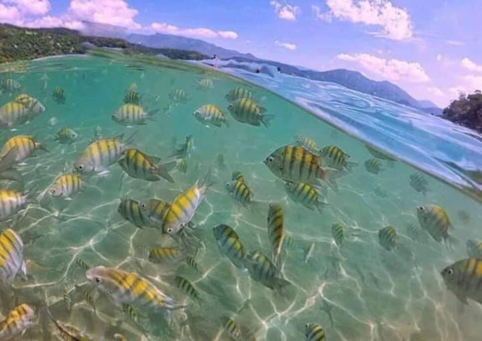 Incrível ap UBATUBA centro vista para o mar!