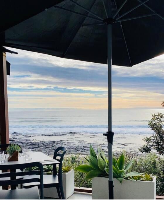 DRIFTWOOD- Hidden Gem, great view in a nature setting