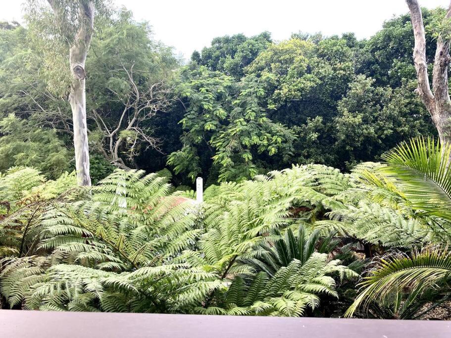 DRIFTWOOD- Hidden Gem, great view in a nature setting